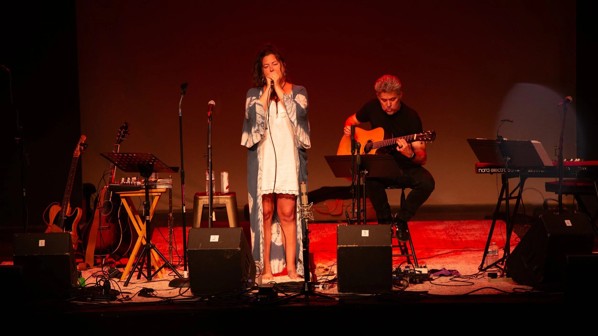 Playhouse_ConcertSeries1_0024.JPG