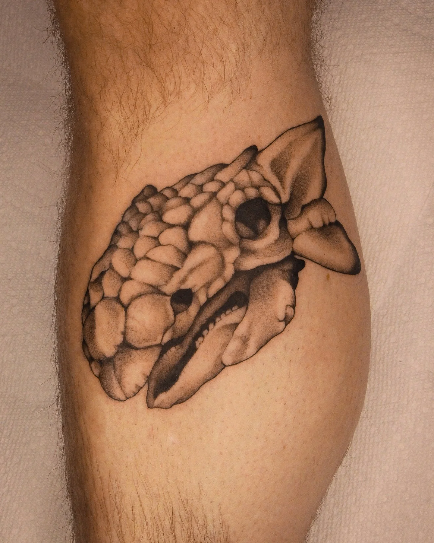 Ankylosaurus skull. We have one of best preserved nodasaurus specimens in Drumheller, Alberta.

Darren said he relates most to this species of dinosaurs, as they are strong herbivores.

Dinosaur skull tattoo done in Calgary @burrow.yyc 

#dinosaurtat