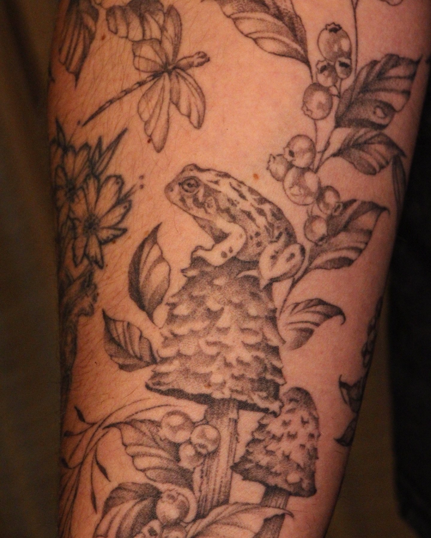 The obsession I feel for the western toad. They are responsible for shutting down the mine outside of Sparwood, as work cannot continue in areas the toads have decided to reproduce in. These toads may yet be the salvation that humanity needs. Keep pr