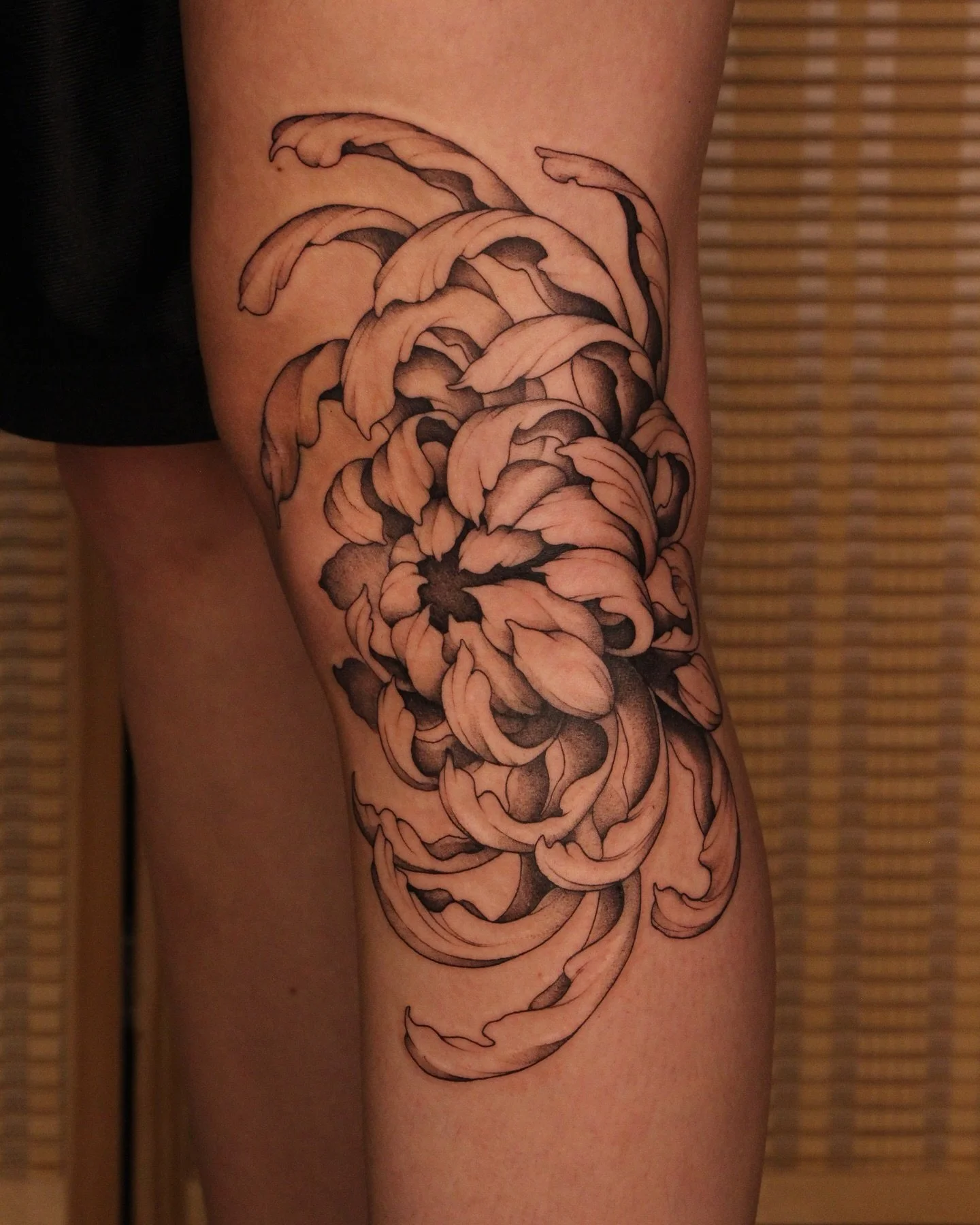 PRIORITY IN PLACEMENT. The side of the knee works so beautifully with the chrysanthemum tattoo. 
Thank you Valerie 💛

Knee floral tattoo done Calgary Alberta @burrow.yyc 

For the record these photos are 100% unedited, just taken with my Canon rebel