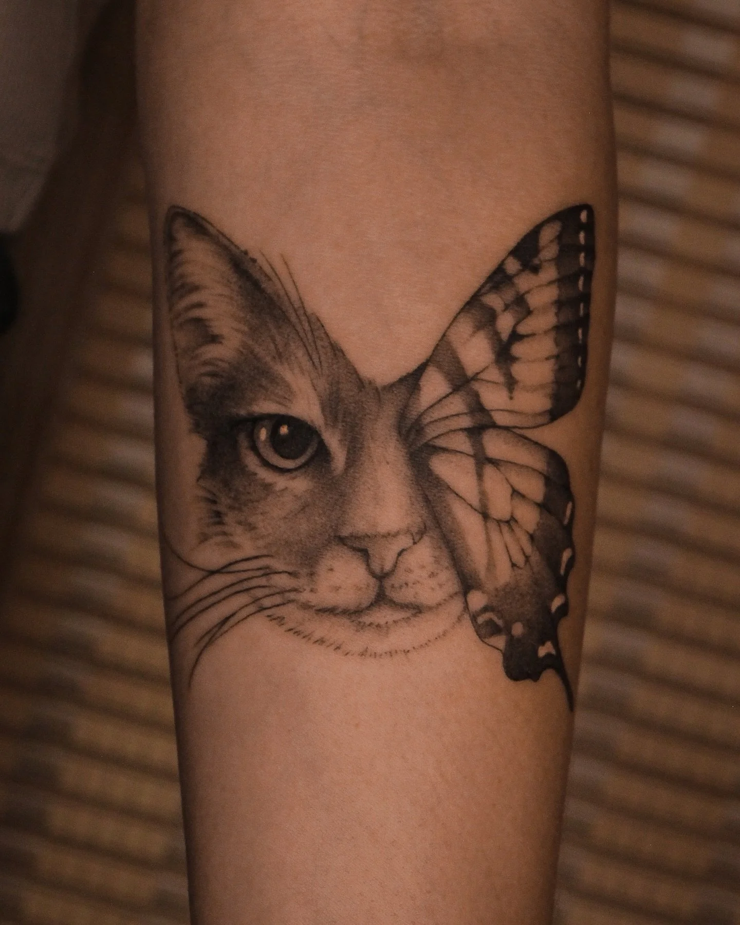 In memory of KitKat, a chocolate obsessed cat.

Thank you Jill for the trust immortalizing this cat portrait on your skin.

Cat butterfly tattoo done In Calgary Alberta @burrow.yyc 

I have been really wanting to do more pet portraits, especially cat