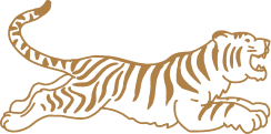 Gold-colored tiger logo with stylized stripes, depicted in a prowling position.