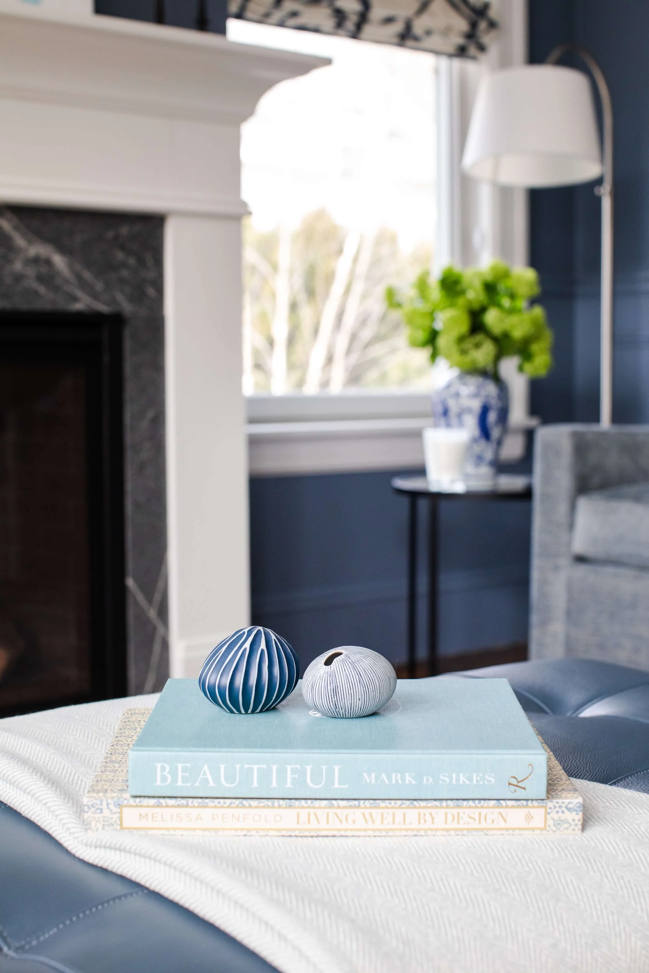 Maven-Interior-Design-Deborah-Berger-Fresh-Traditional-Wellesley-42.jpg