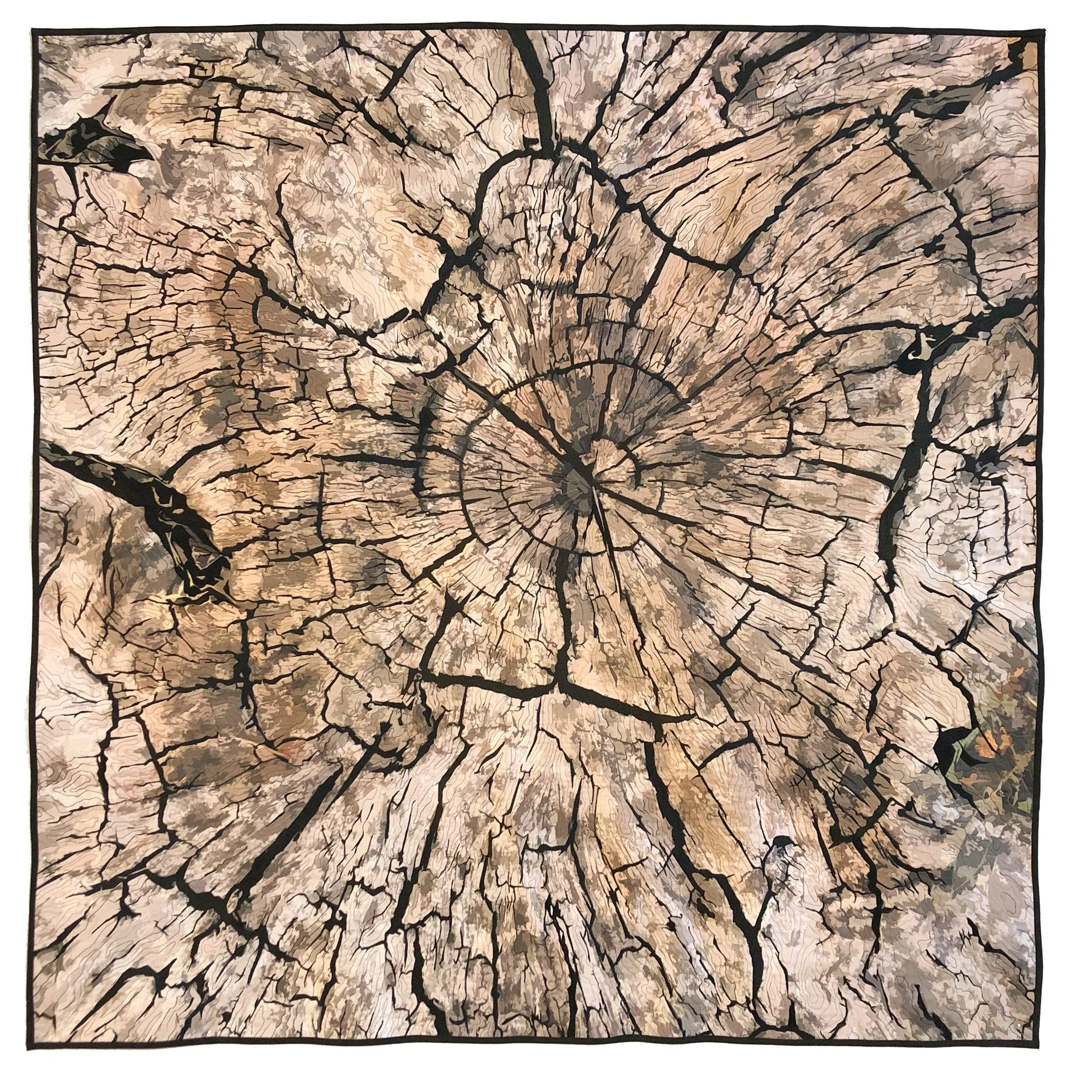 Line Dance, Tree Ring Patterns, var. 27 – Barbara Schneider, Tucson, AZ