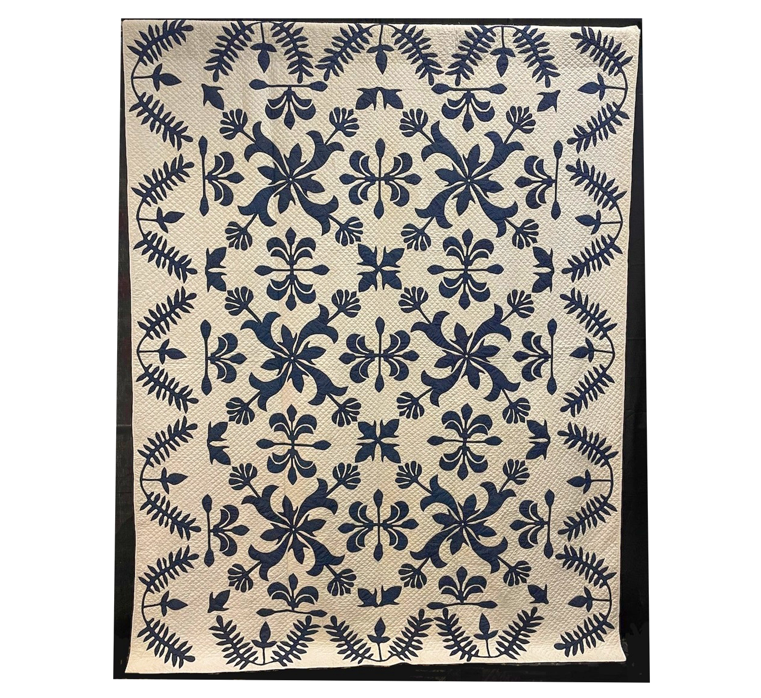 Albany Lily, c. 1860 - Waddell Collection