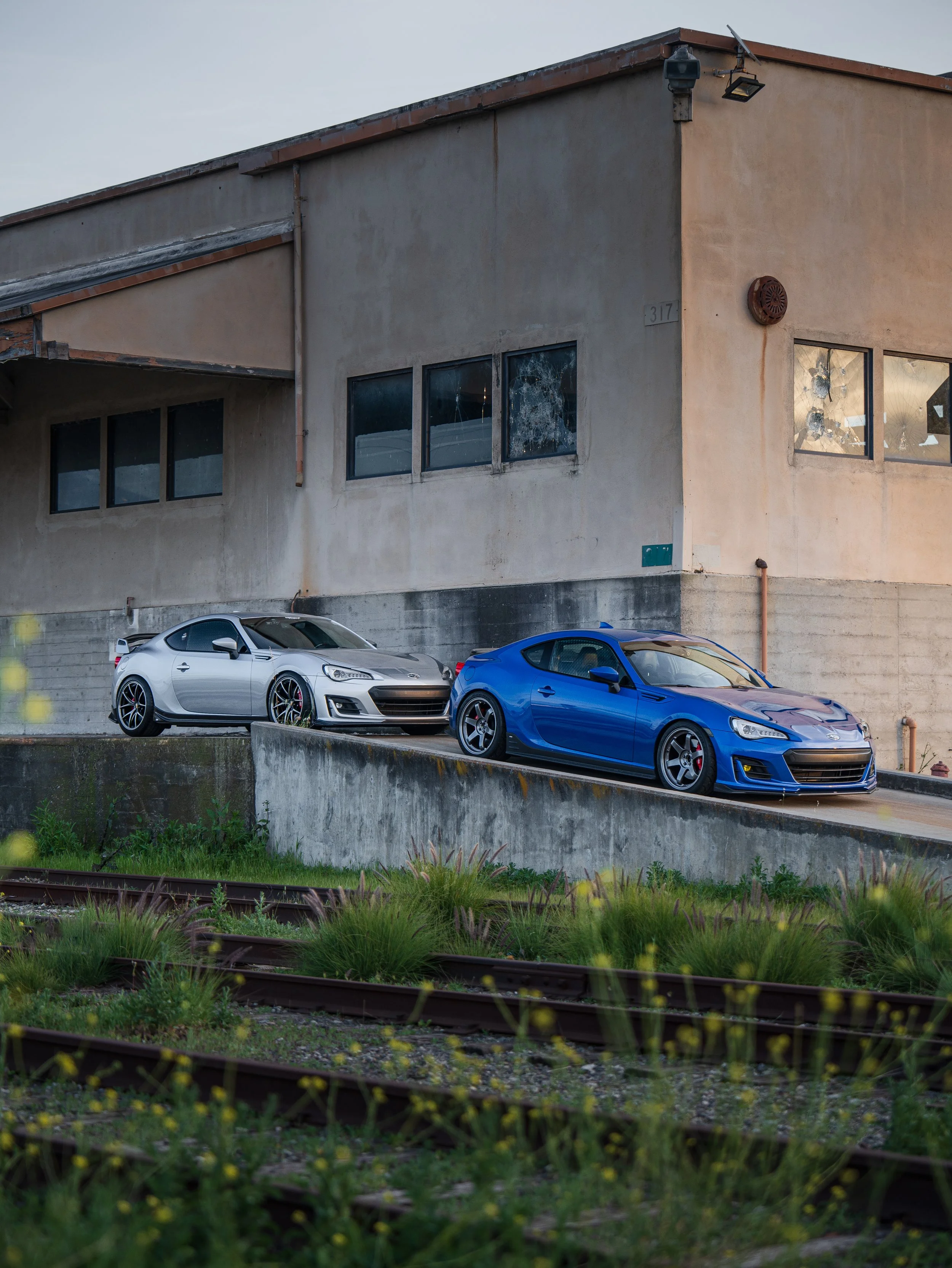 stellabrz-28.jpg