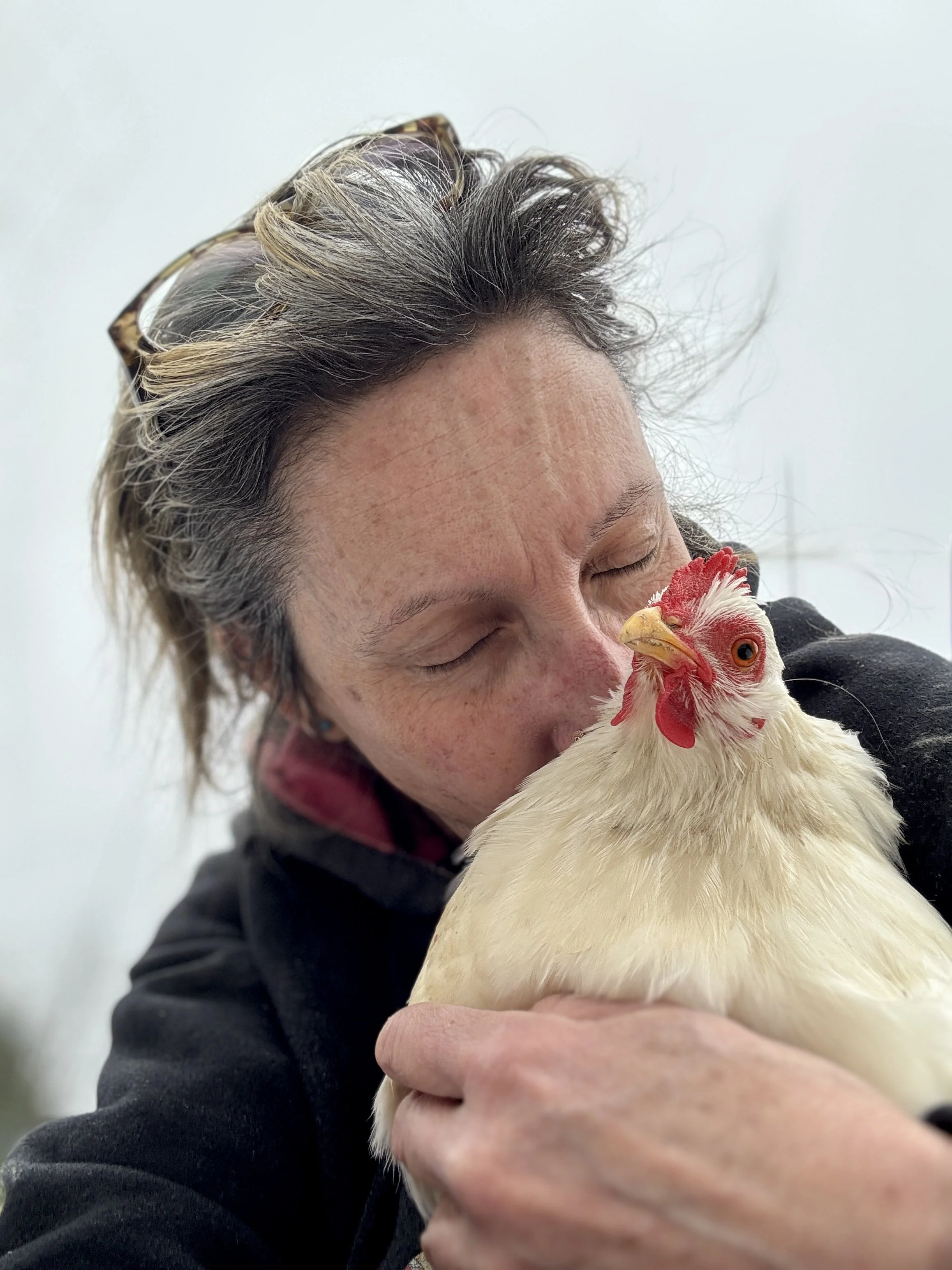 Fowl_Guru_Hedemora_Hen.JPG