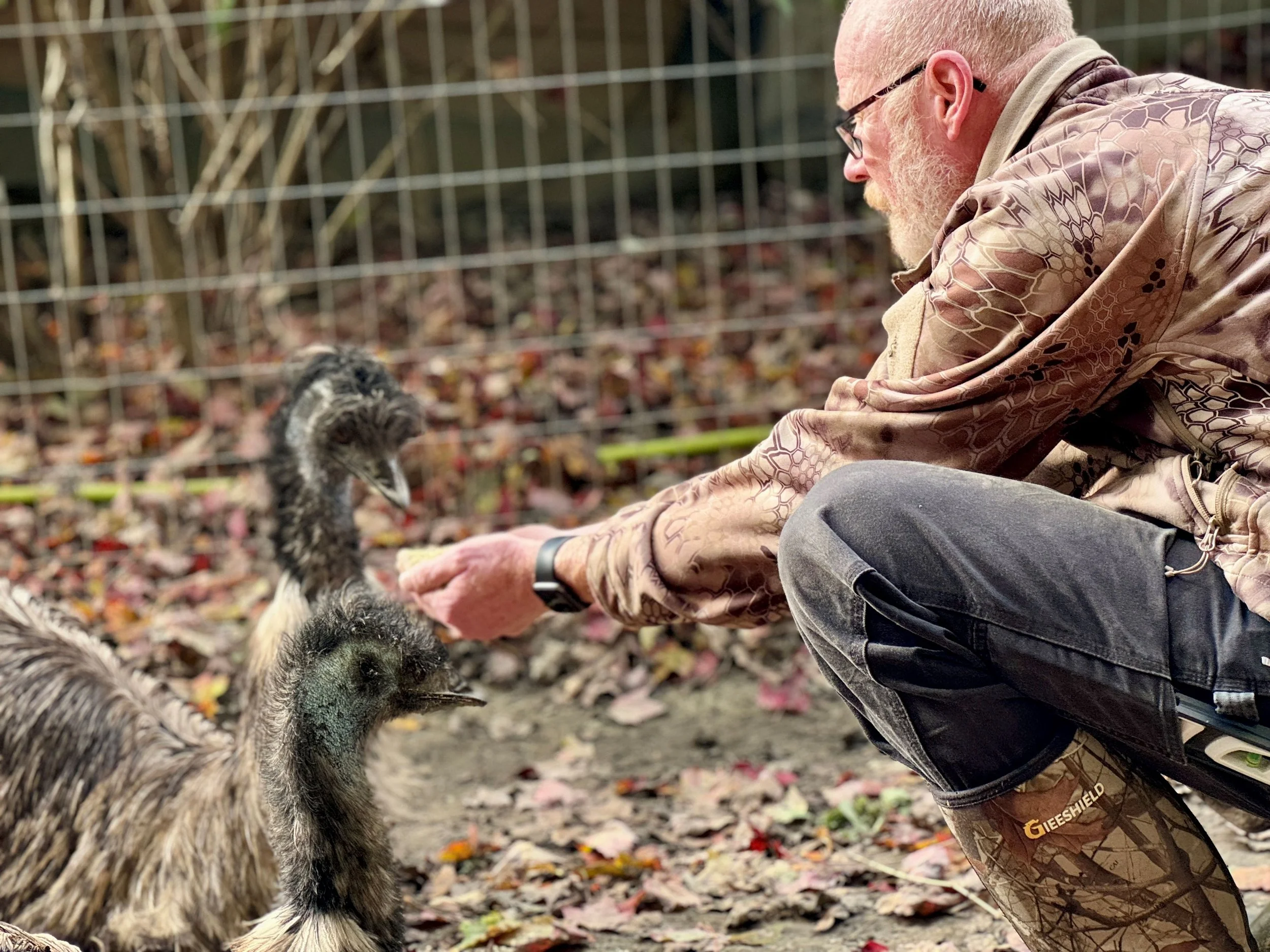 EMU Feeding.JPG
