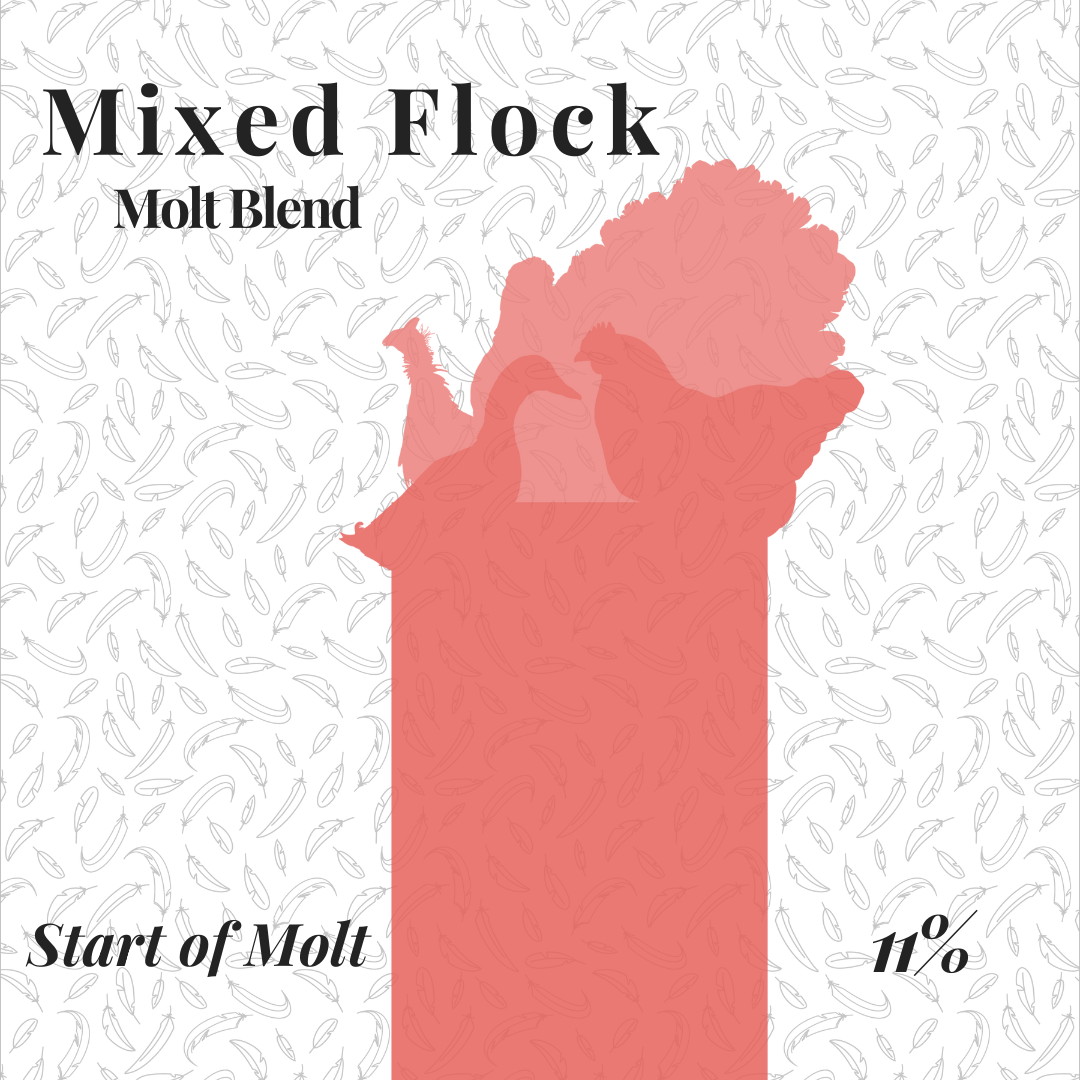 Mixed Flock Molt Blend