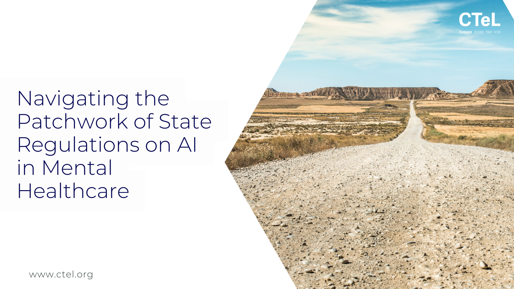 Navigating the Patchwork of State Regulations on AI in Mental Healthcare