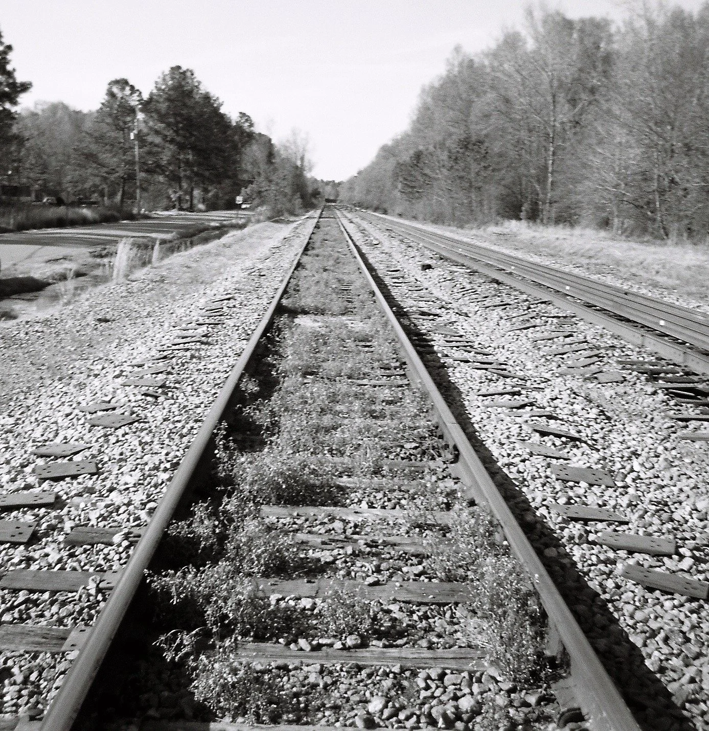 Black and white image of railroad tracks extending into the distance through an open rural landscape with trees on both sides.