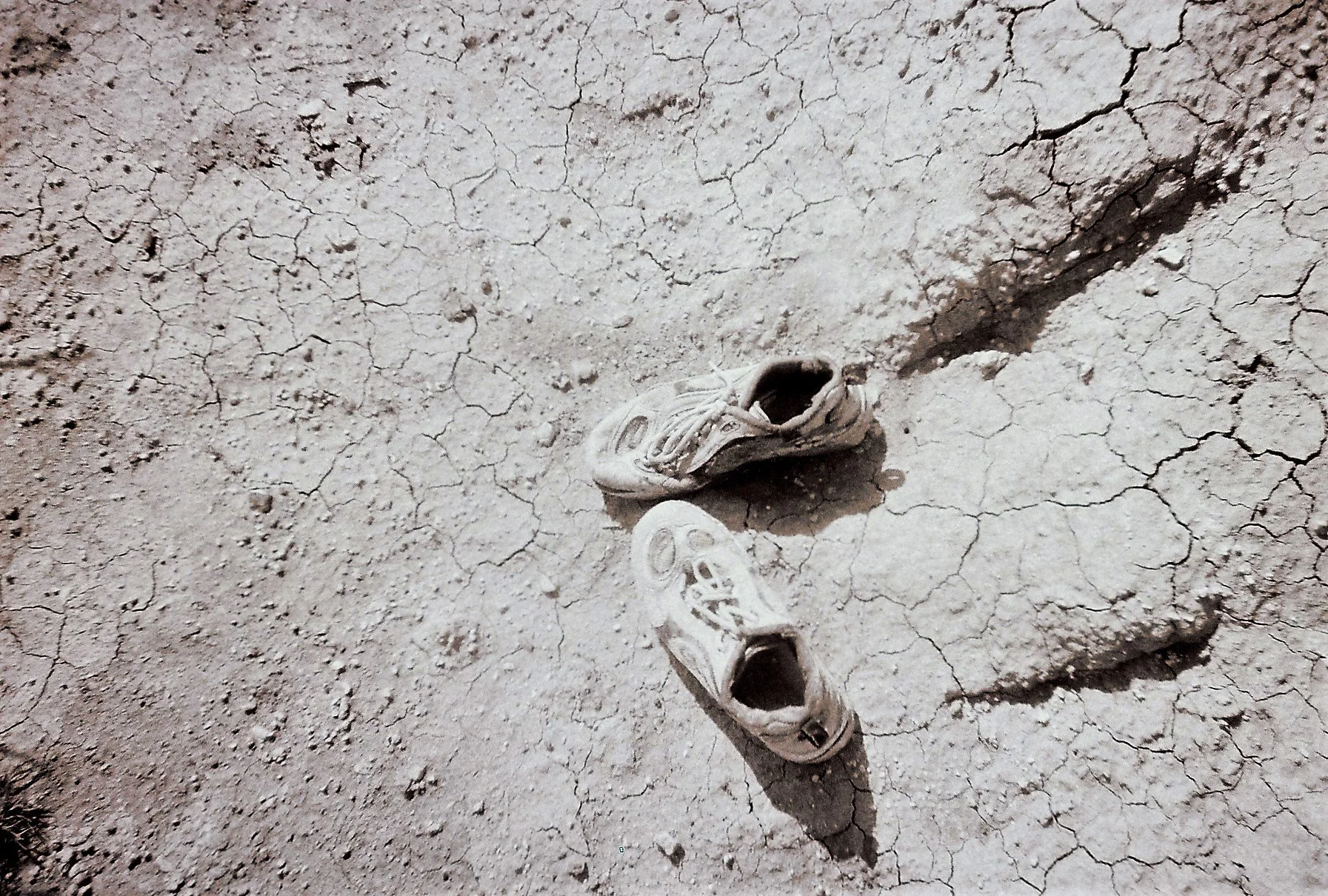 A cracked, dry dirt ground with a pair of white running shoes lying abandoned.