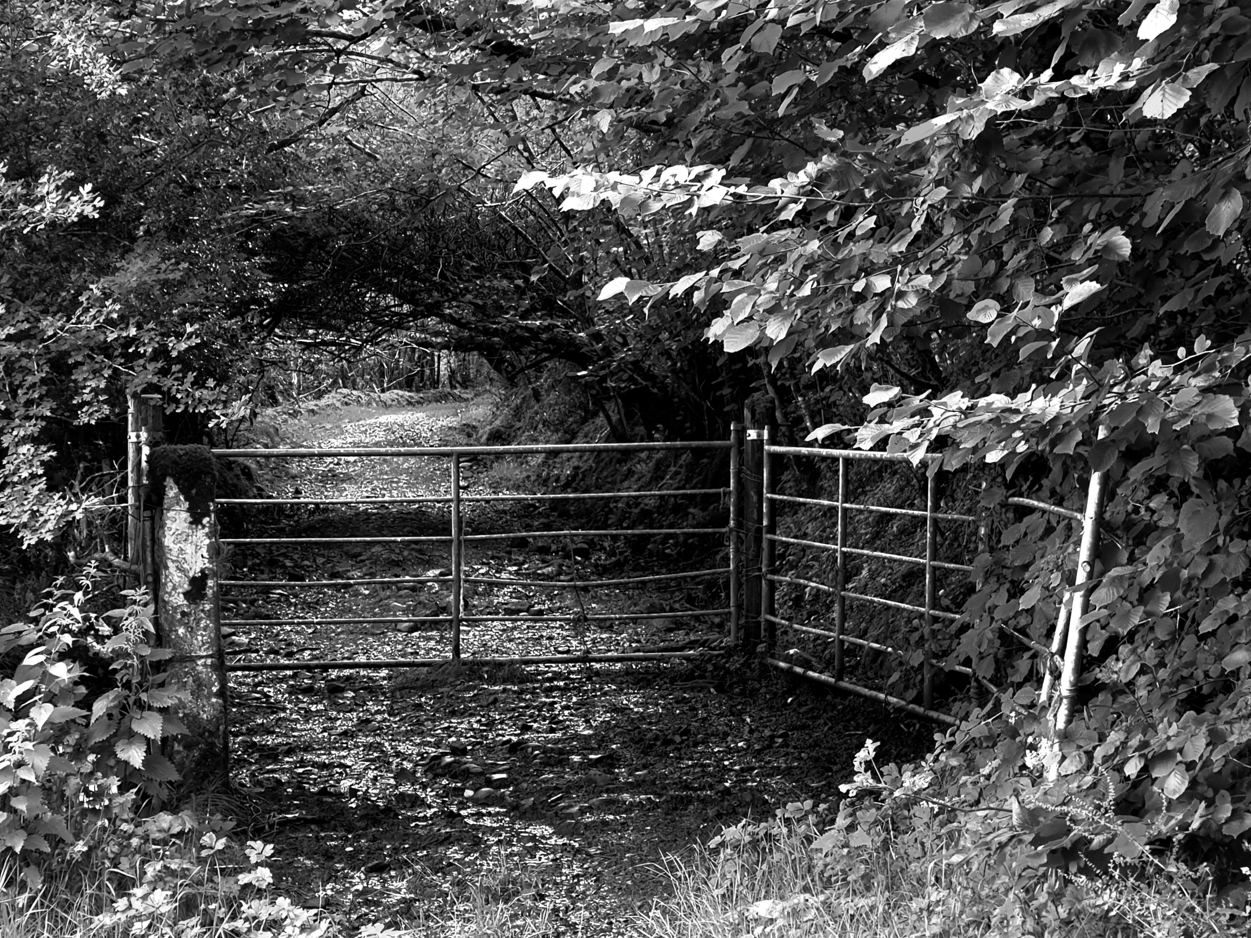 Kevin's Gate, County Leitrim, Ireland