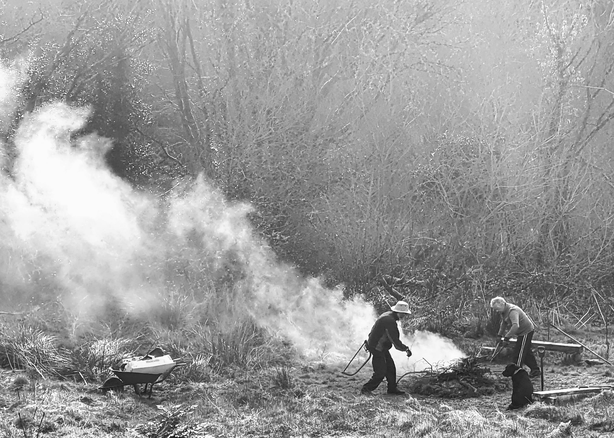 Bonfire. Ireland, 2023.