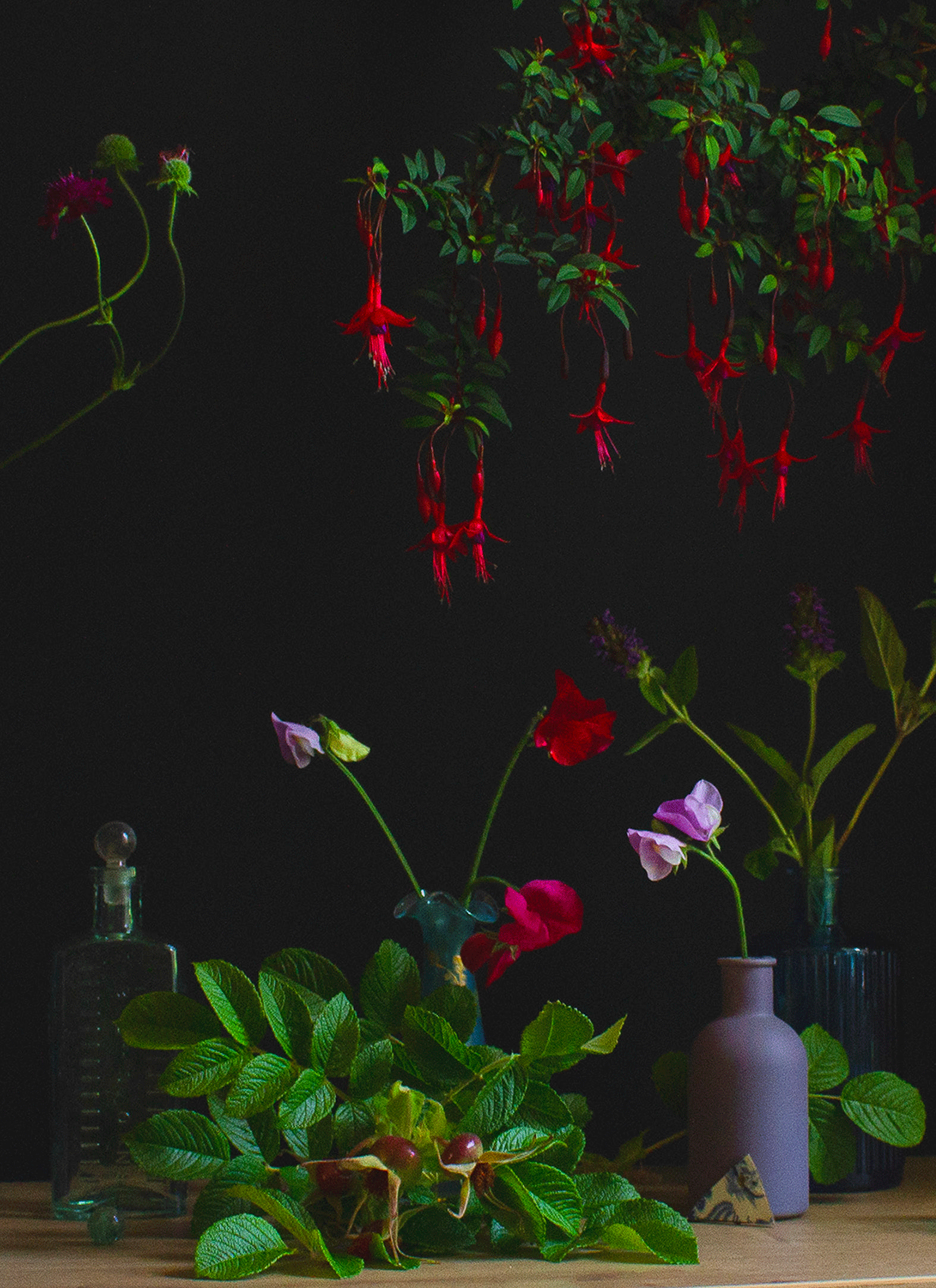 Fuschia (limited print edition). Direct colour printed on to Aluminium Dibond. Various sizes.