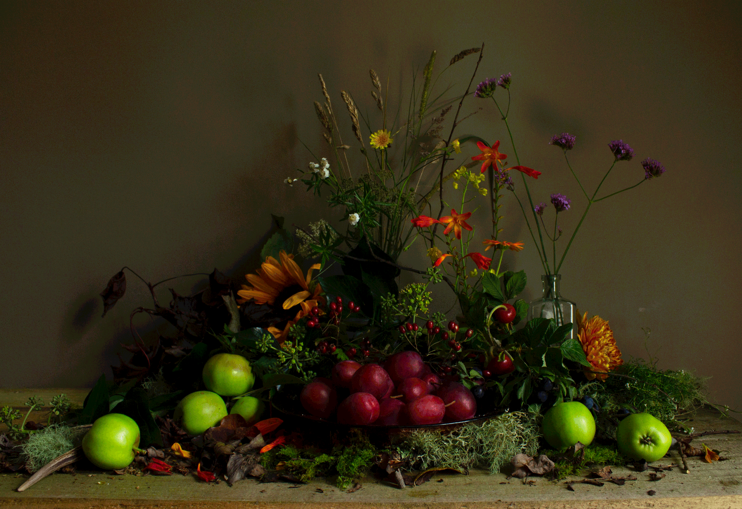 Apples & Plums (limited print edition). Direct colour printed on to Aluminium Dibond. Various sizes.
