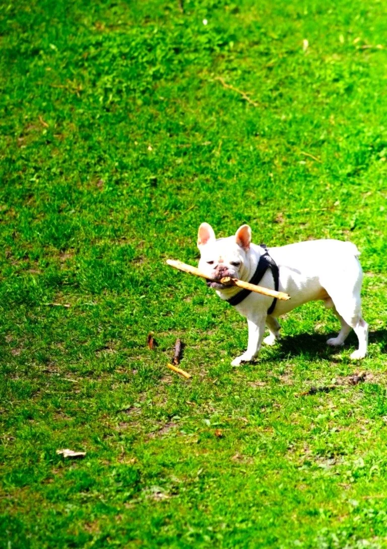 DSCF1378 (Medium).JPG