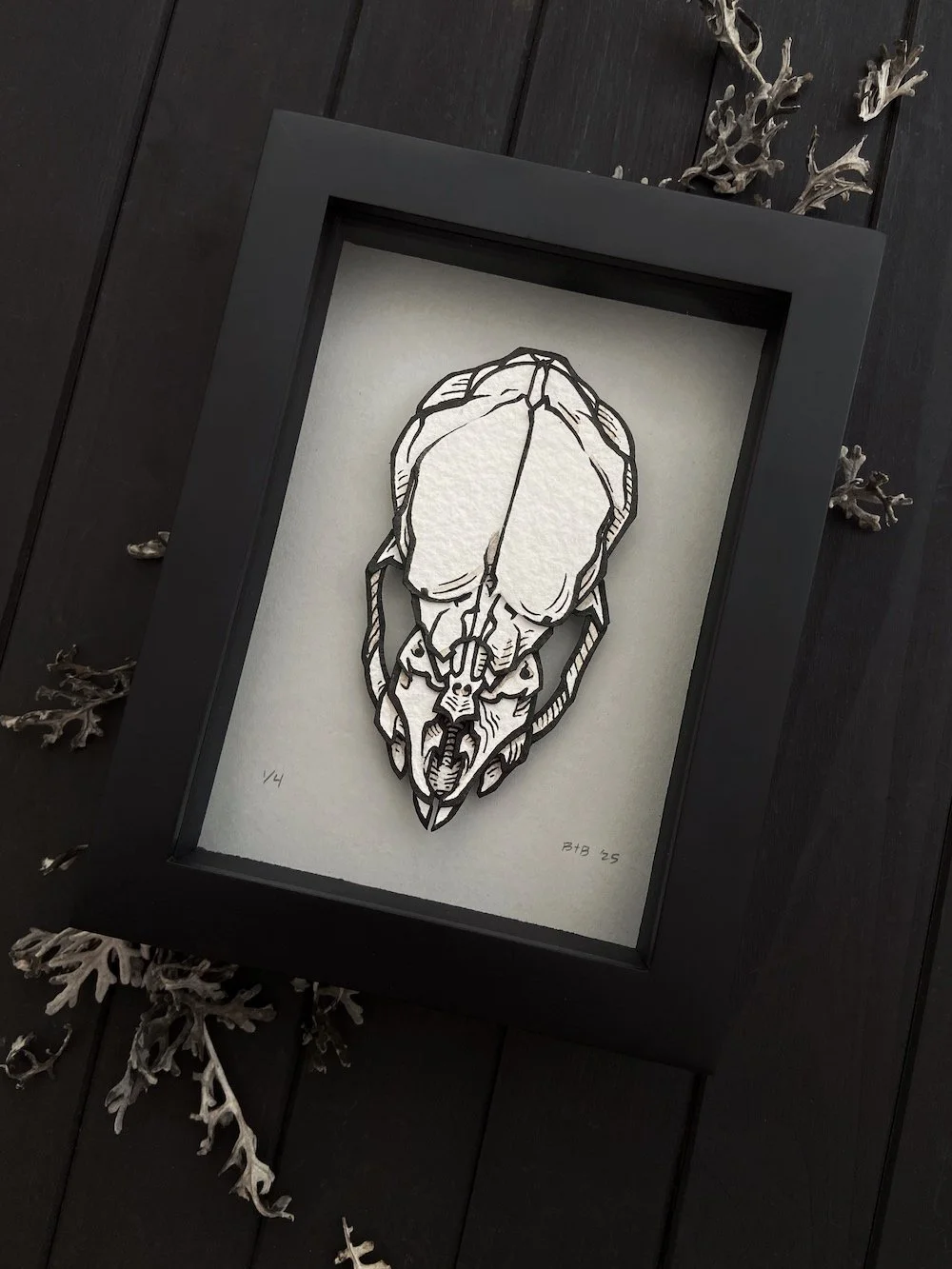 Product Original Stock's Vampire Bat Flatlay Angled.jpg