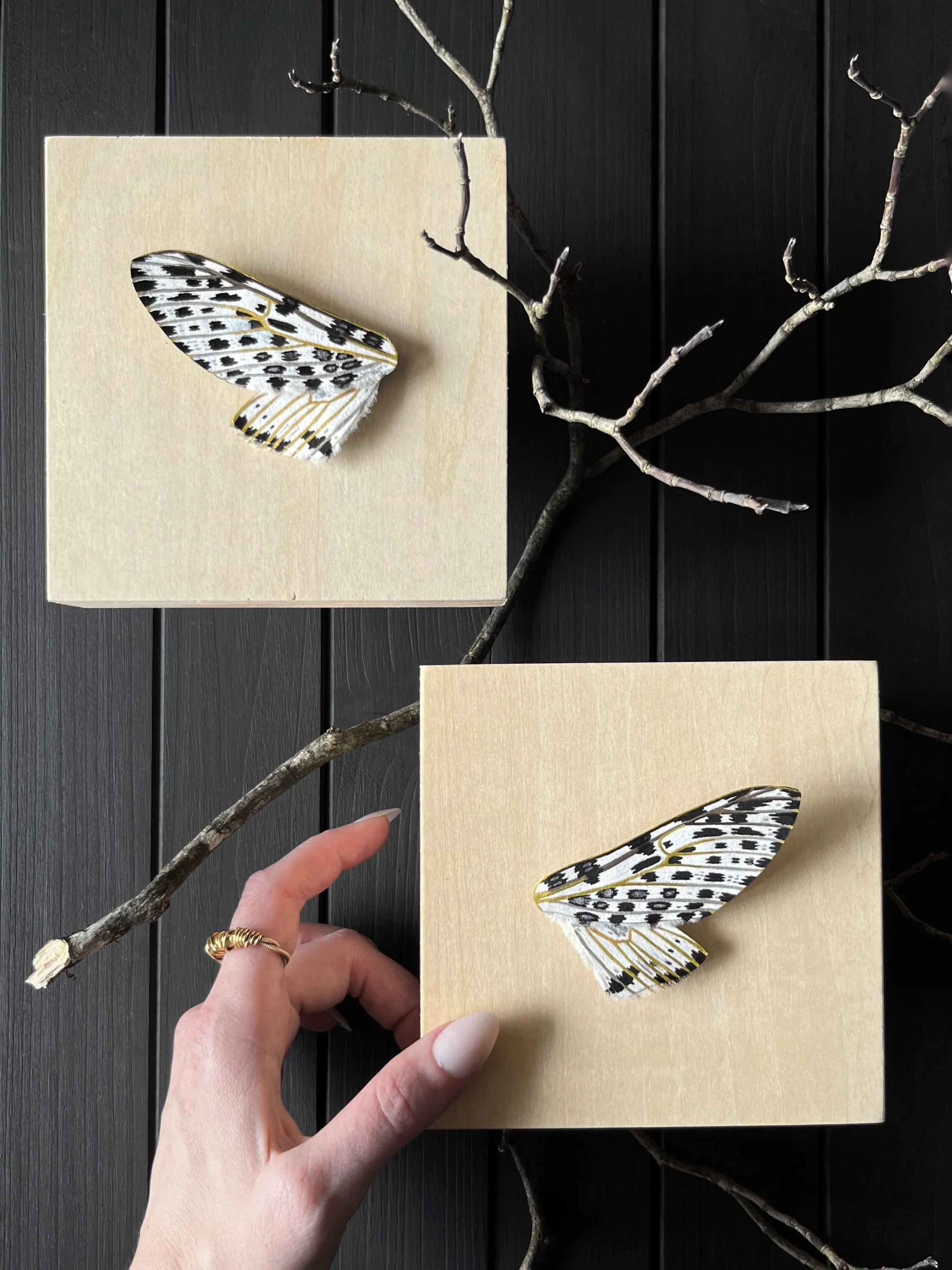 Flutter and Float Paper Art Originals