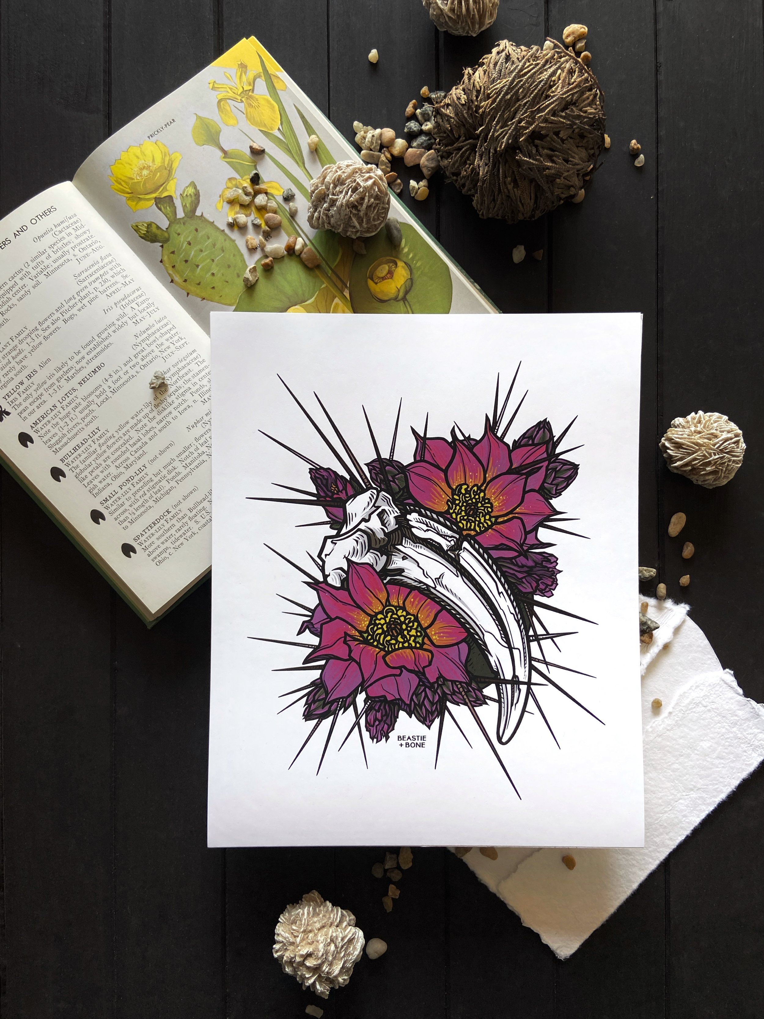 Desert Daggers Illustration Flatlay 8x10.jpg