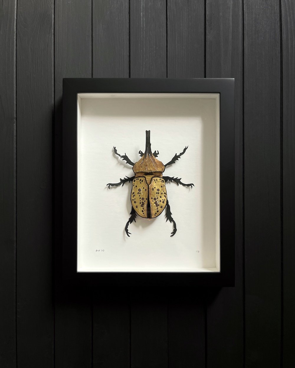 Herculean Gold 1:8 Product Photo Web.jpg