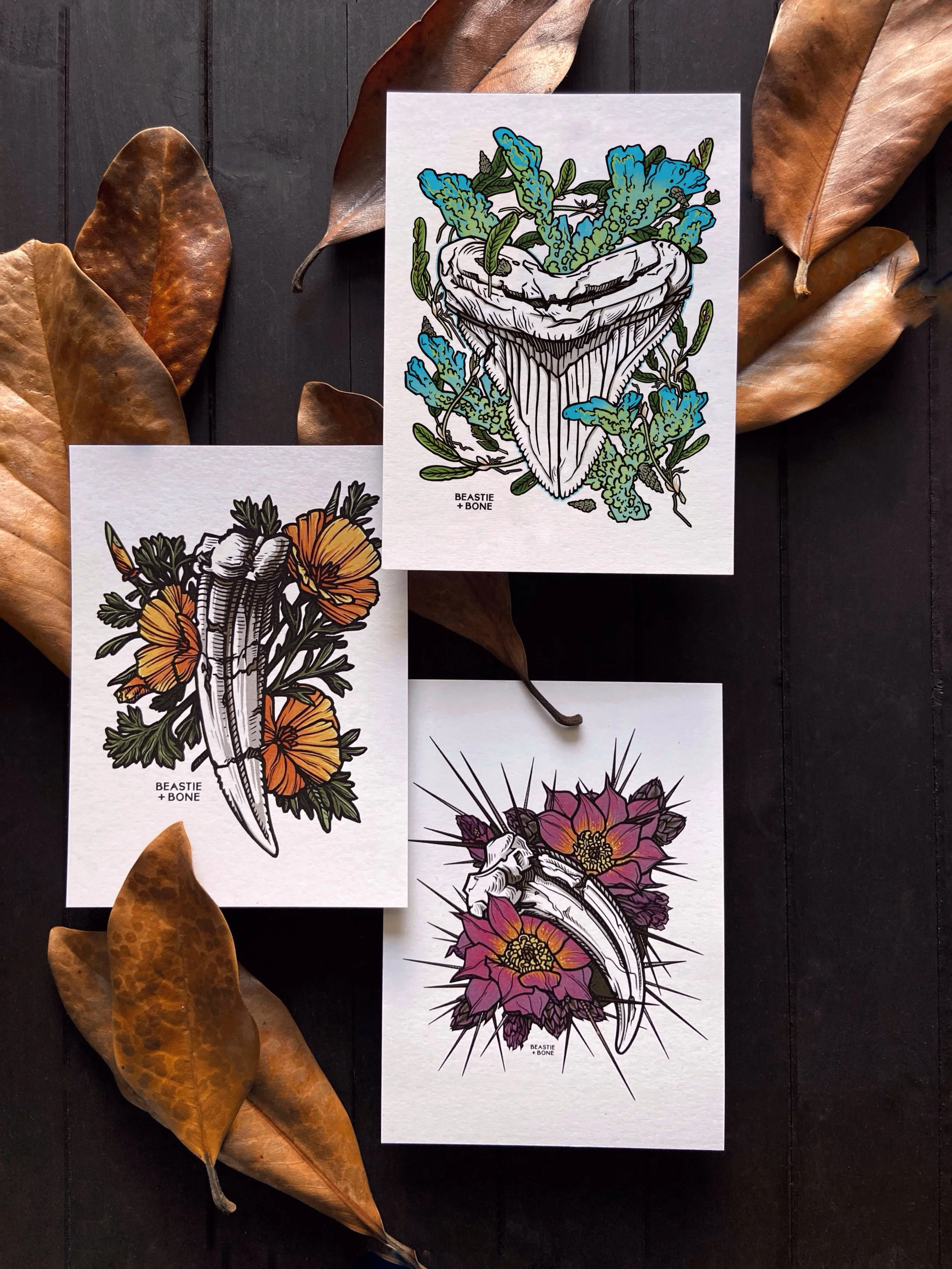 Fossils and Flora Miniprint Set 2.jpg