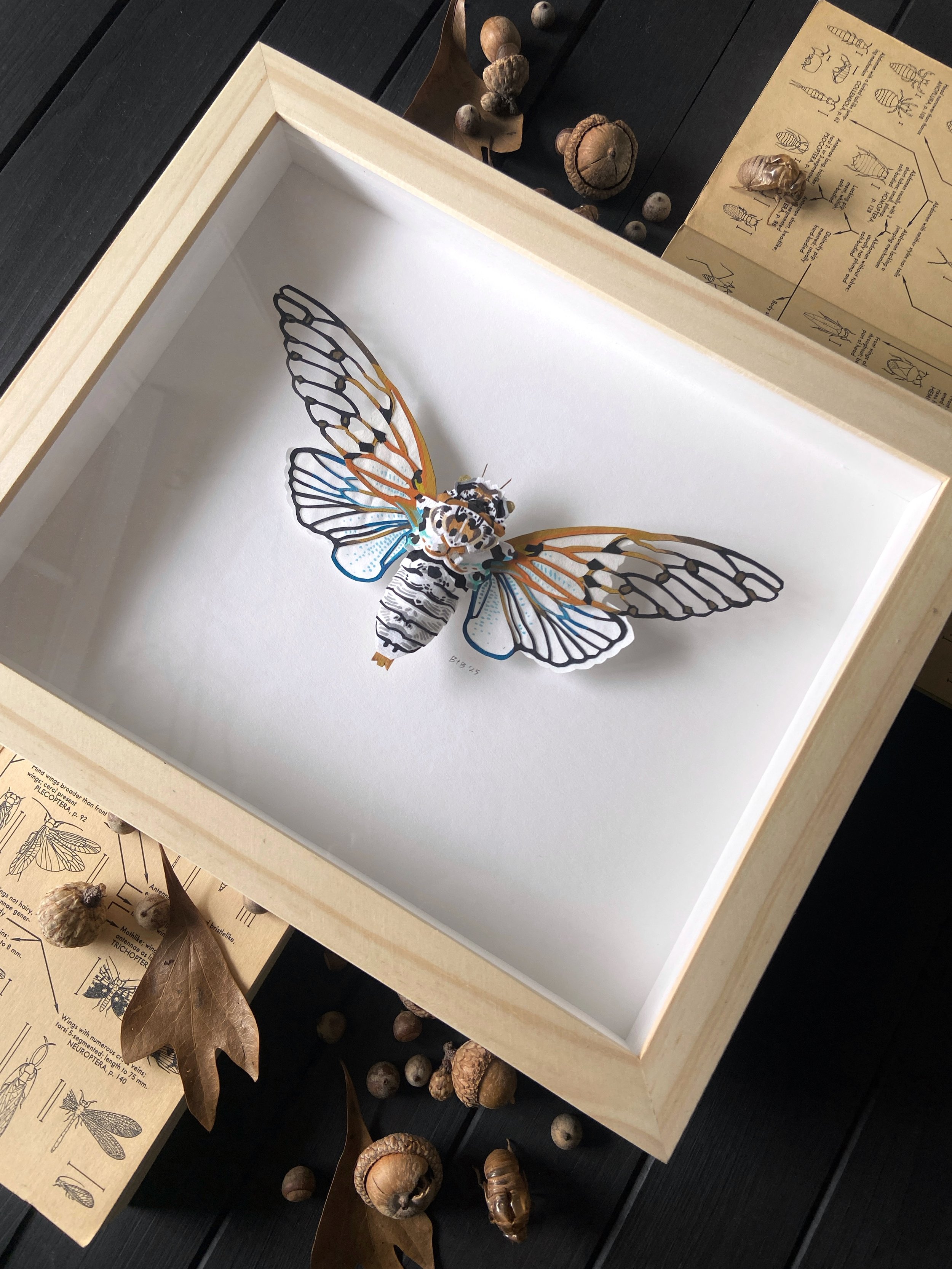 Ghost Cicada Framed Flatlay Angled.jpg
