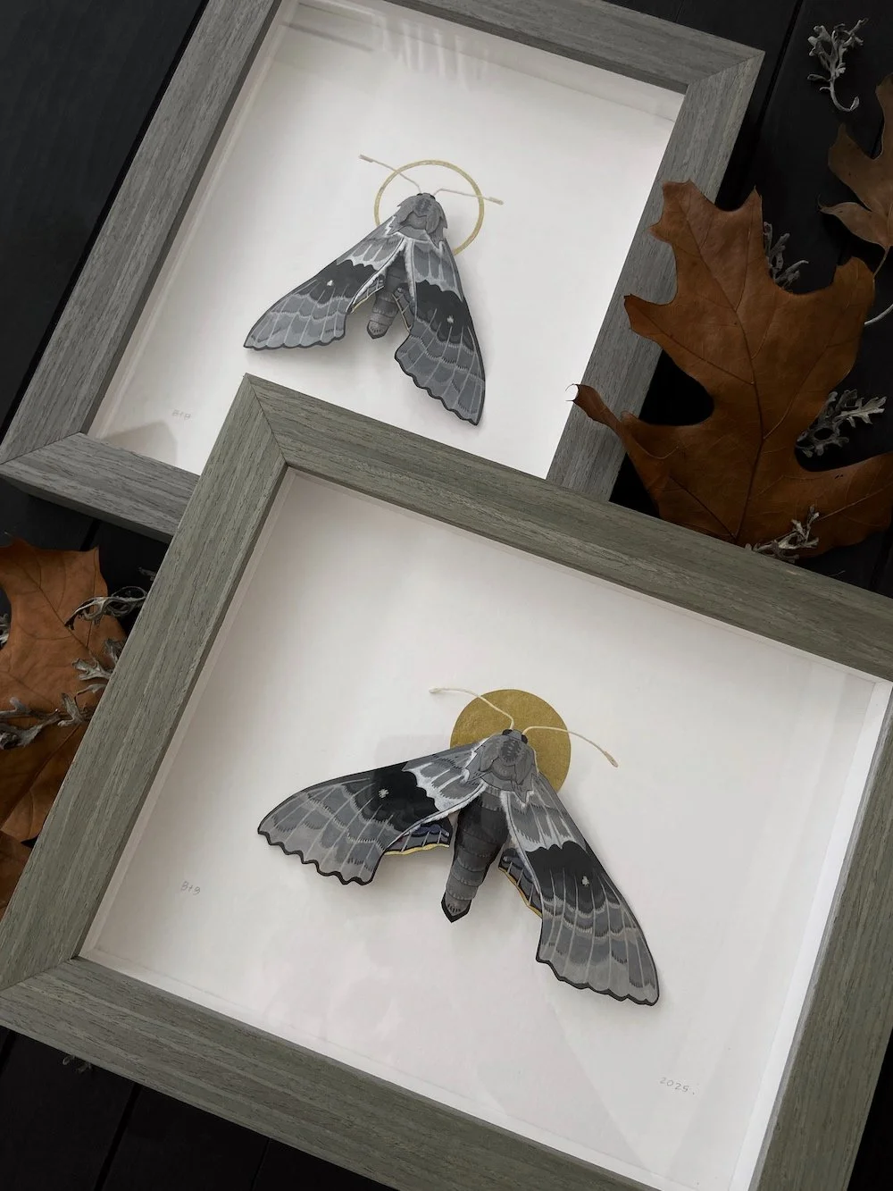 Product Original Modest Sphinx Moths I and II Flatlay Angled.jpg
