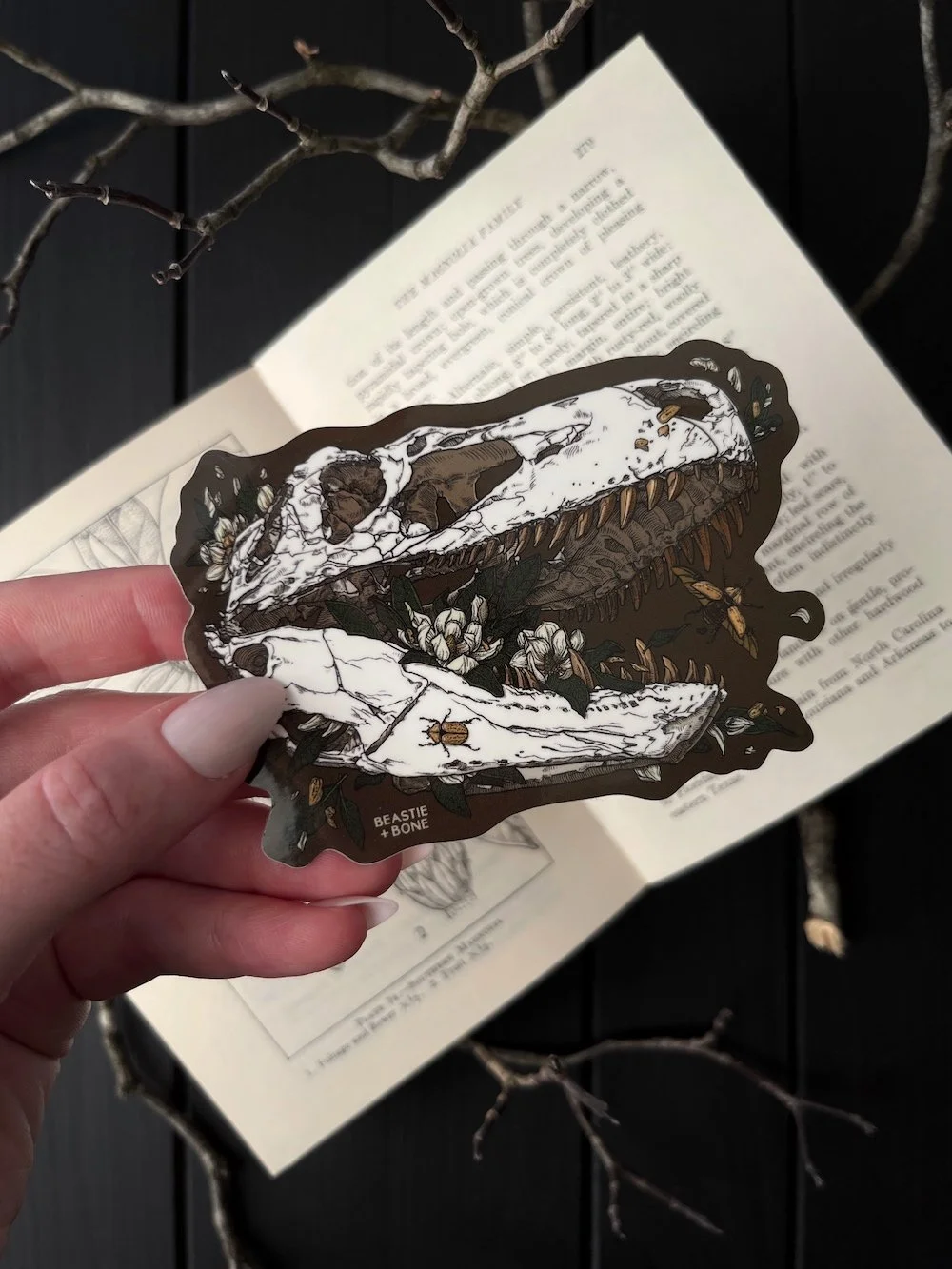 From The Other Side of Time Sticker Web.jpg