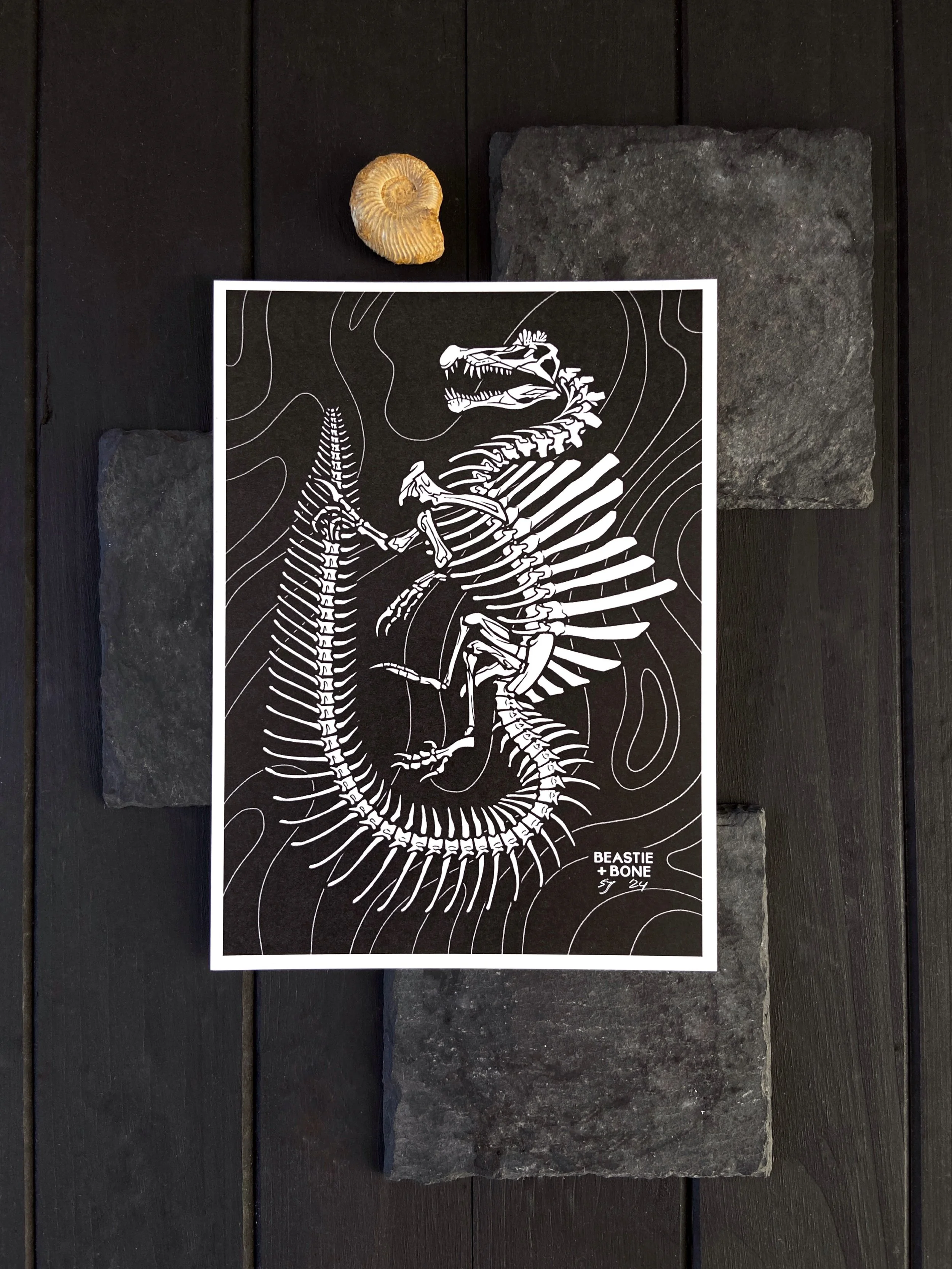 Dragon Bones