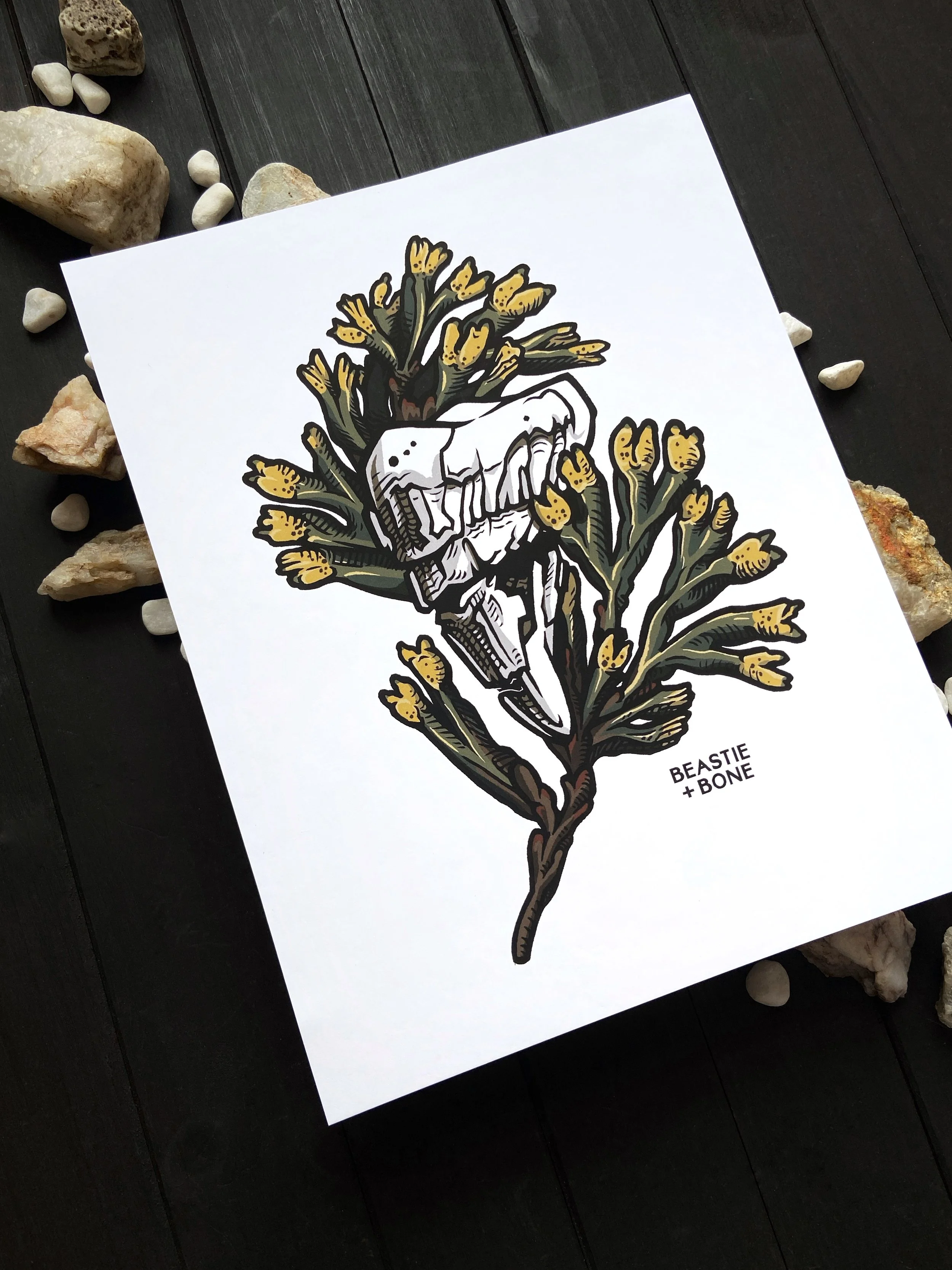 Spiketooth Archival Art Print Angled.jpg
