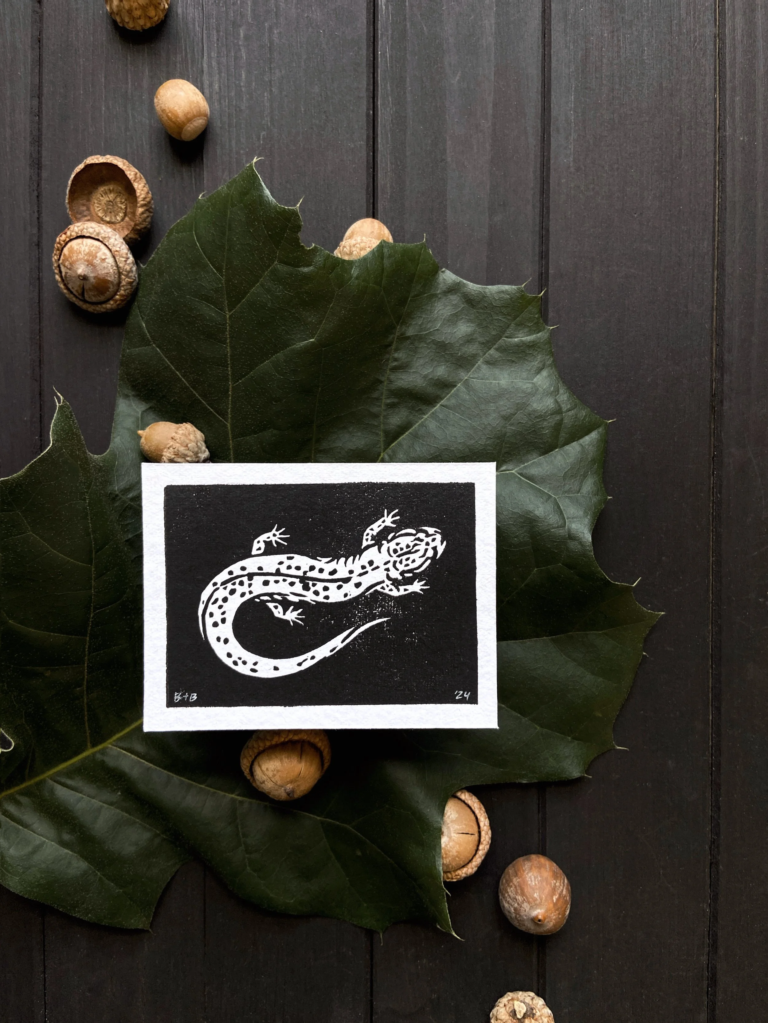 ACS_Salamander Tinyprint Flatlay.JPG
