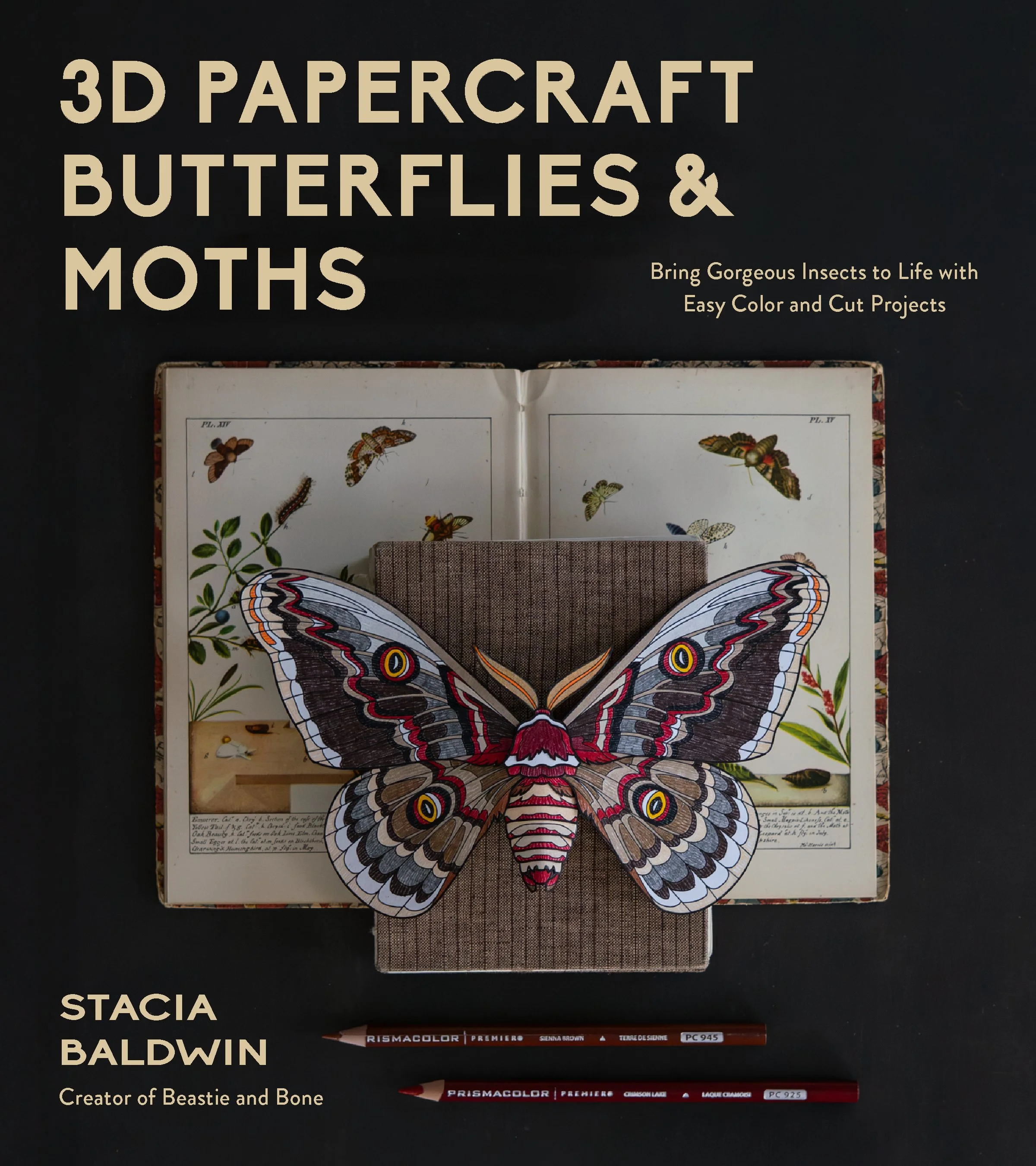 3D Papercraft Butterflies and Moths Cover.jpg