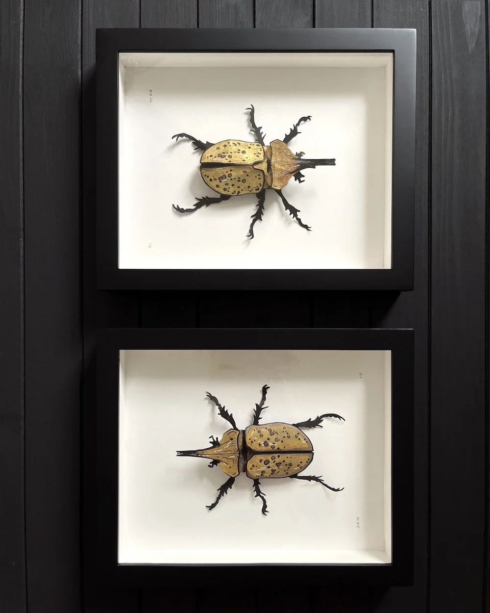 Herculean Gold Paper Art Originals - Male Web.jpg