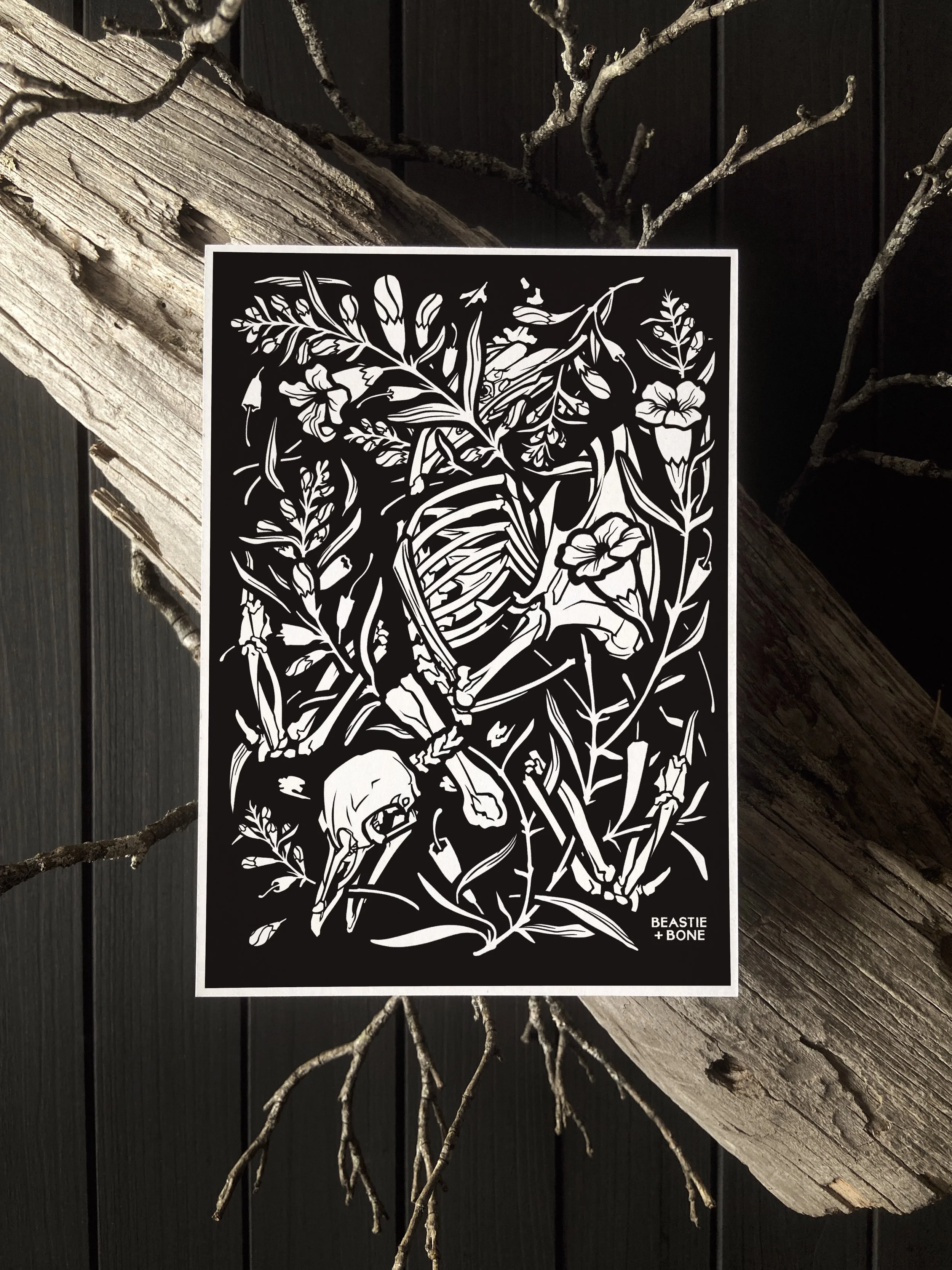 Passed Miniprint Flatlay.JPG