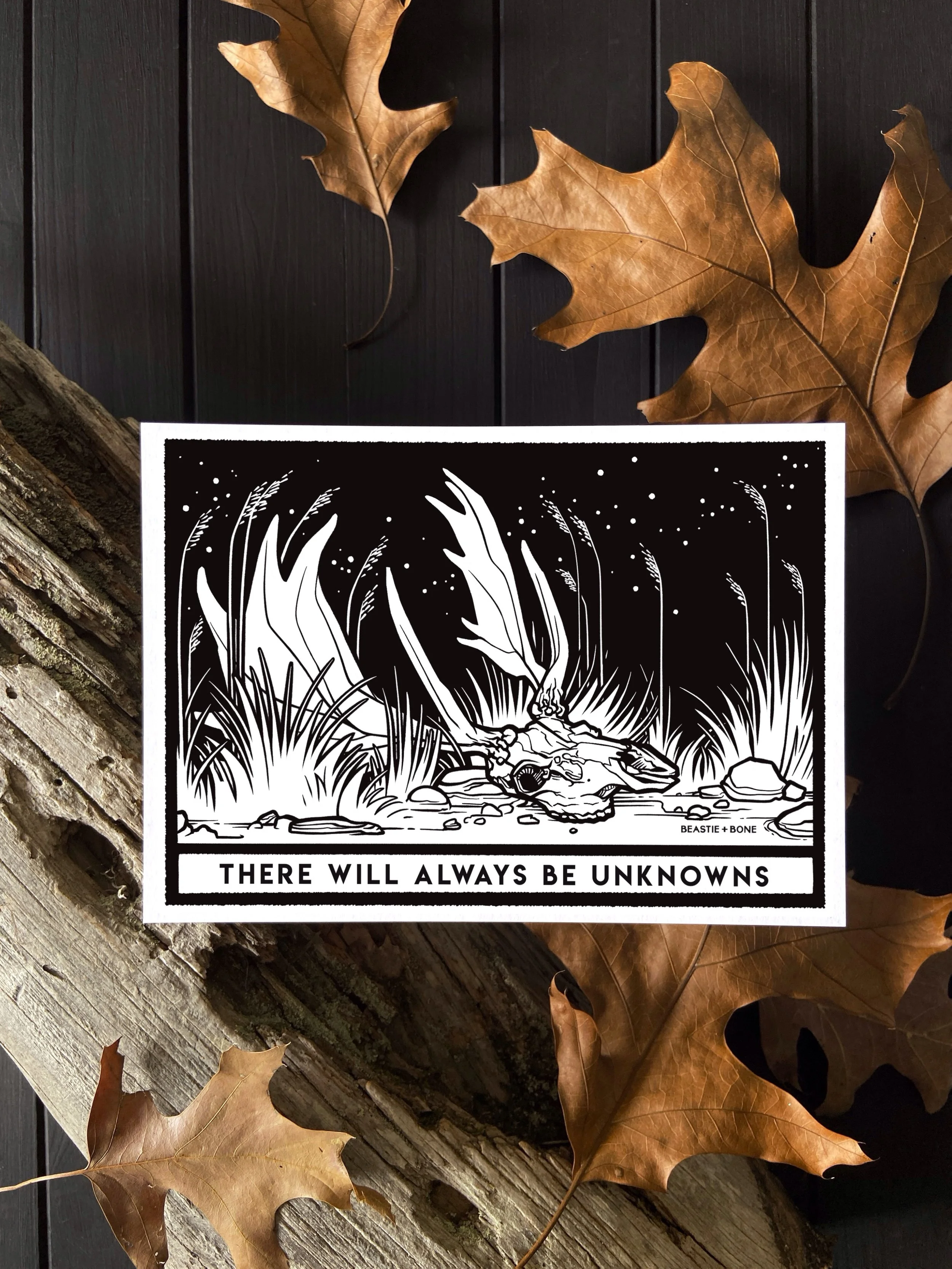 Unknowns Miniprint Flatlay.JPG