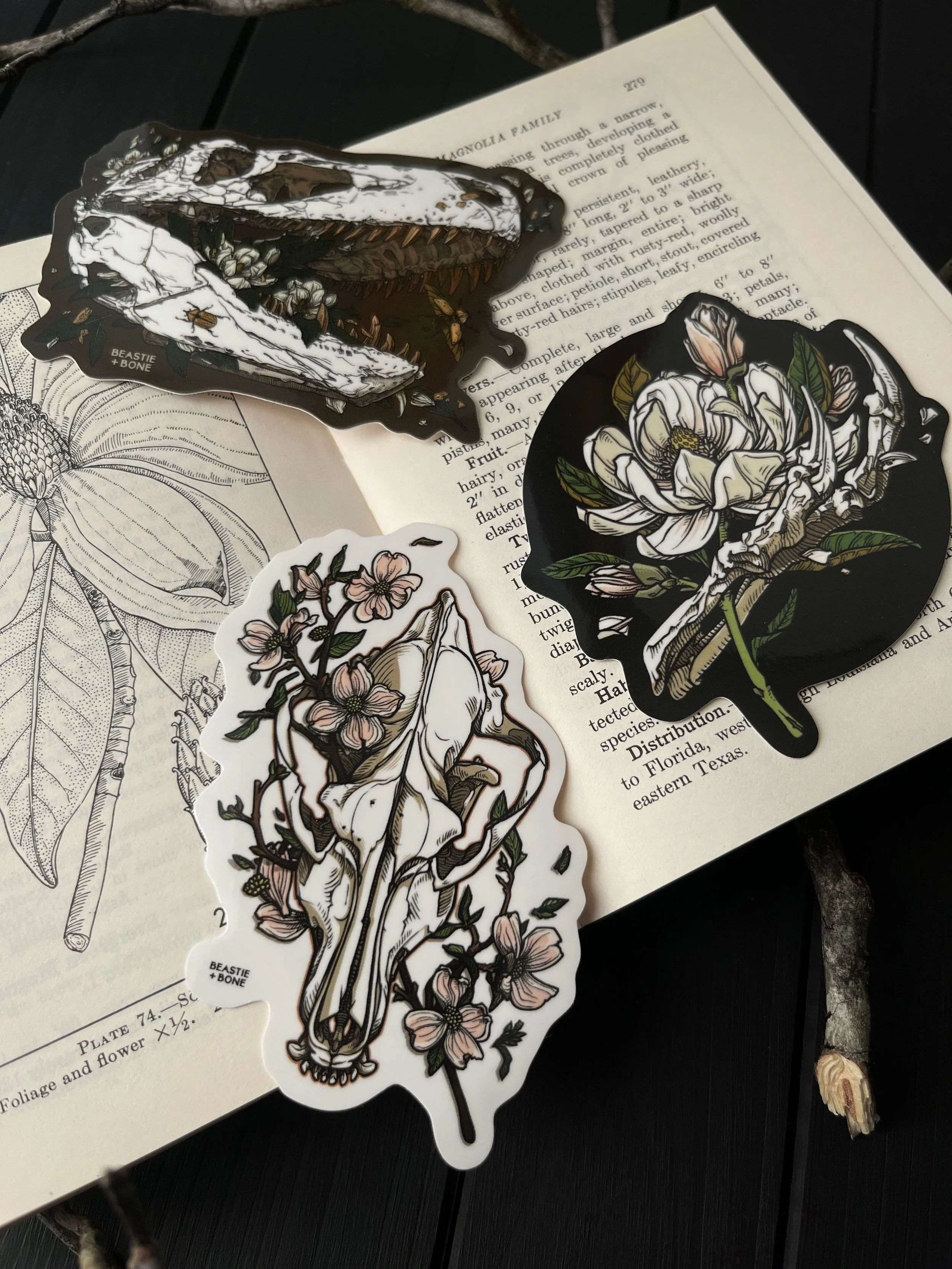 Spring 2026 Sticker Bundle Flatlay Closeup.jpg