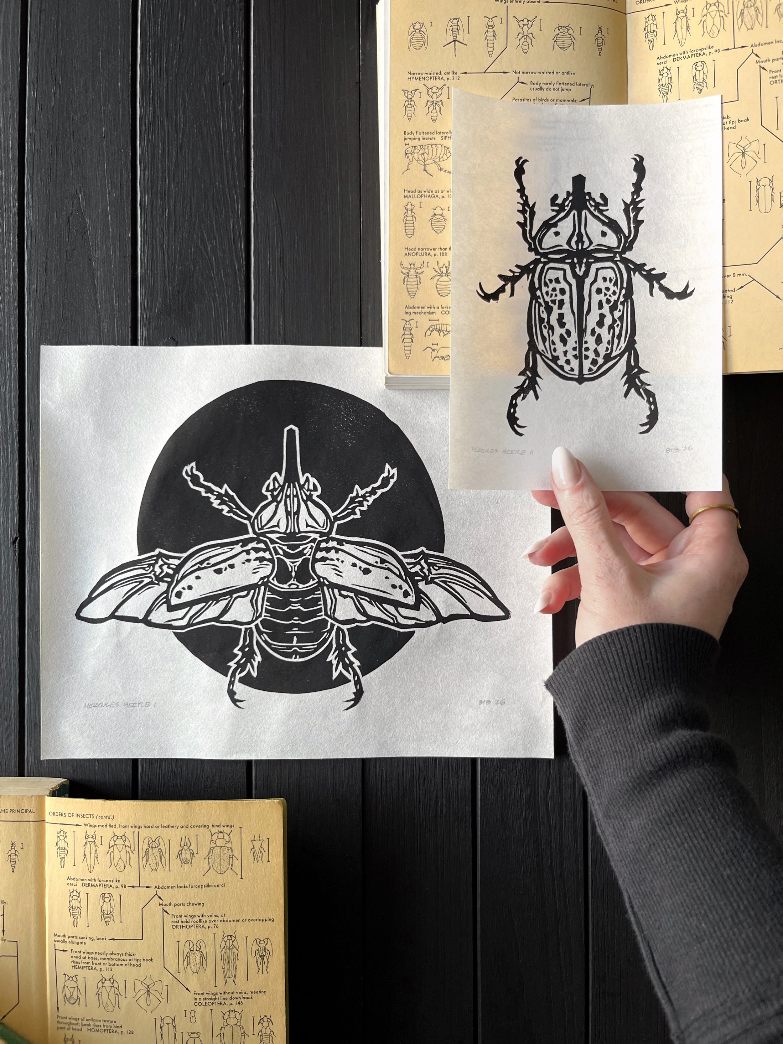 Hercules Beetles Linocuts Flatlay Simplified.jpg