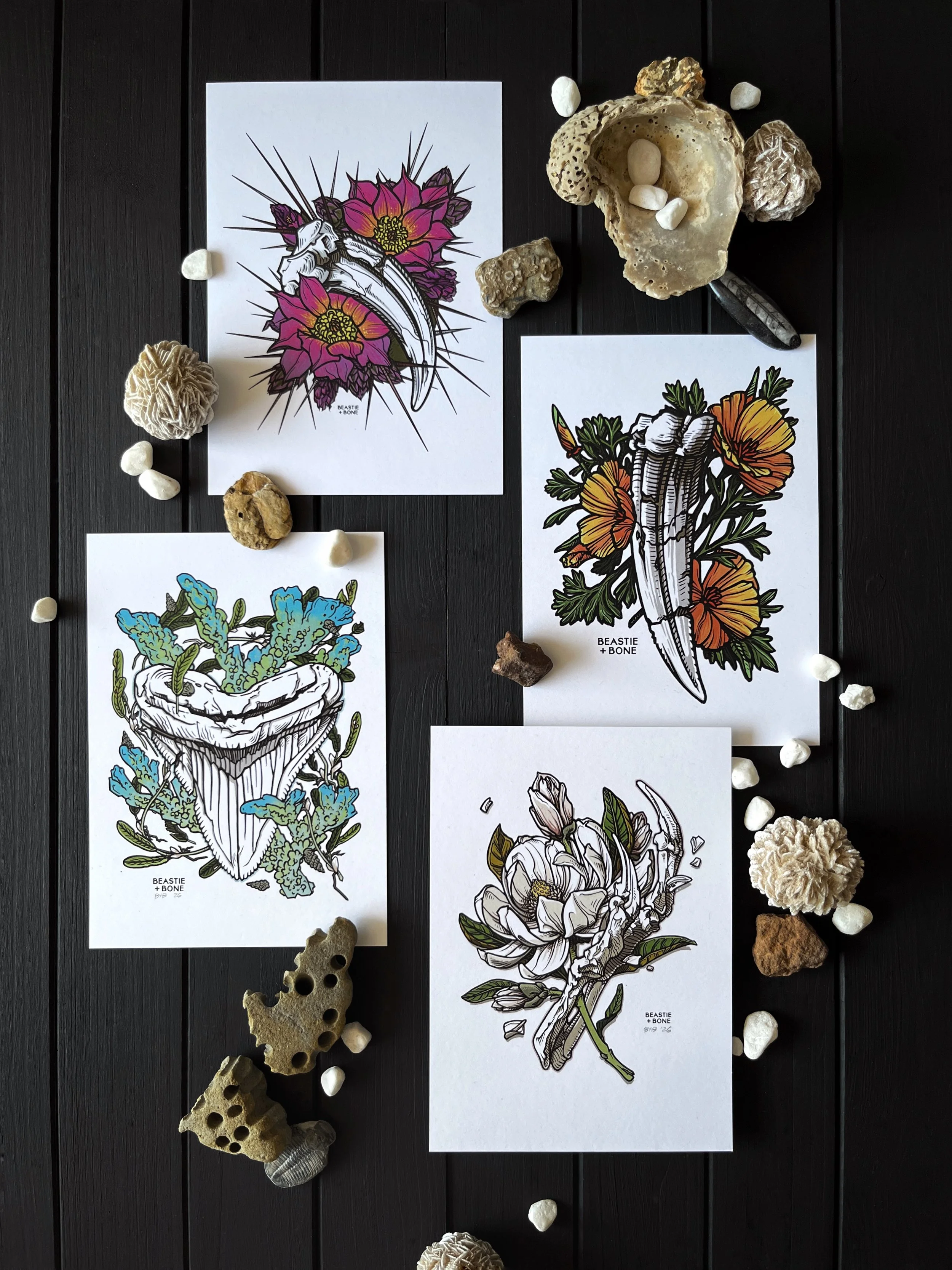Fossils and Florals Miniprints Flatlay.jpg