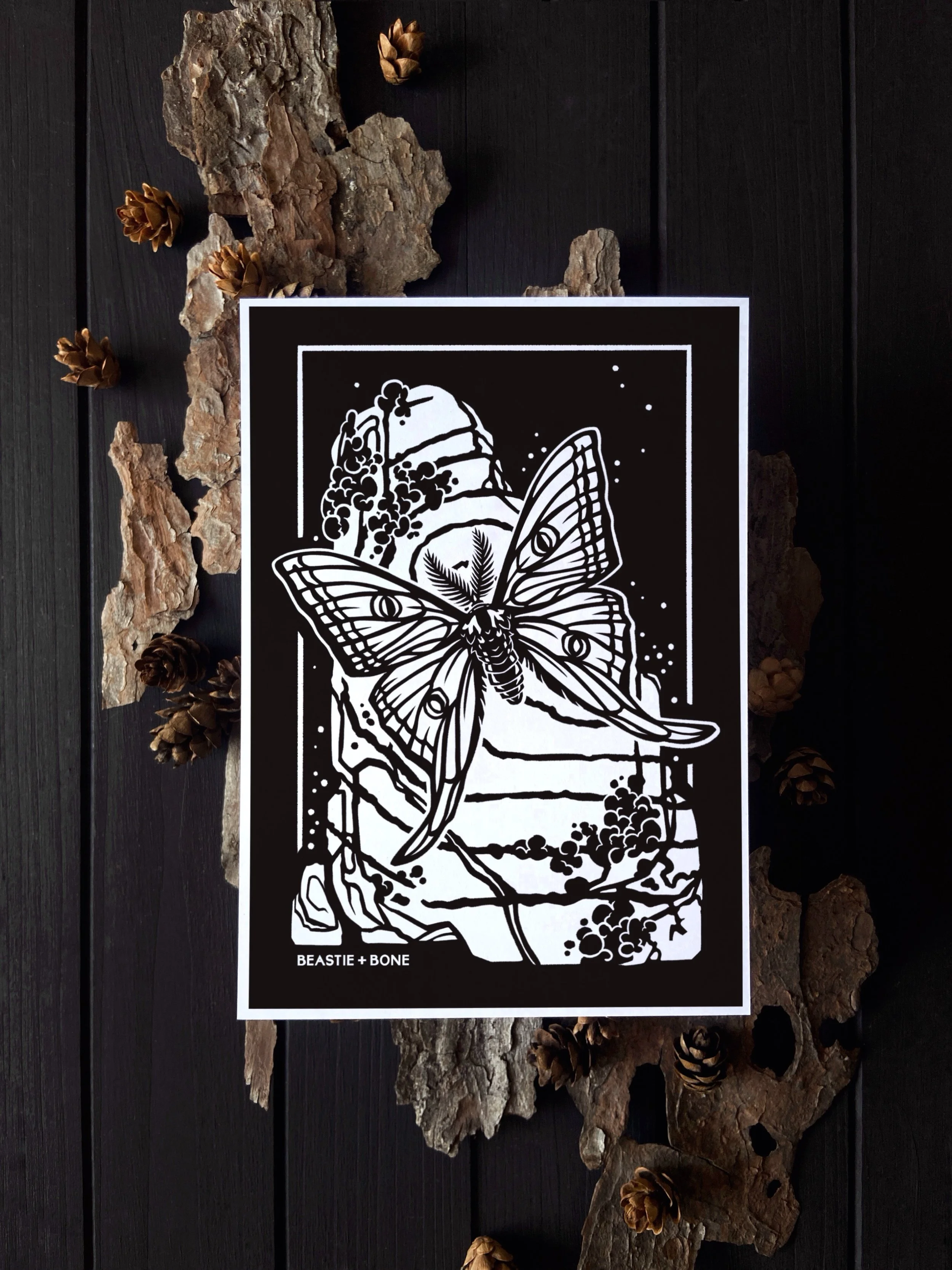 ACS_Waning Miniprint Flatlay.jpg