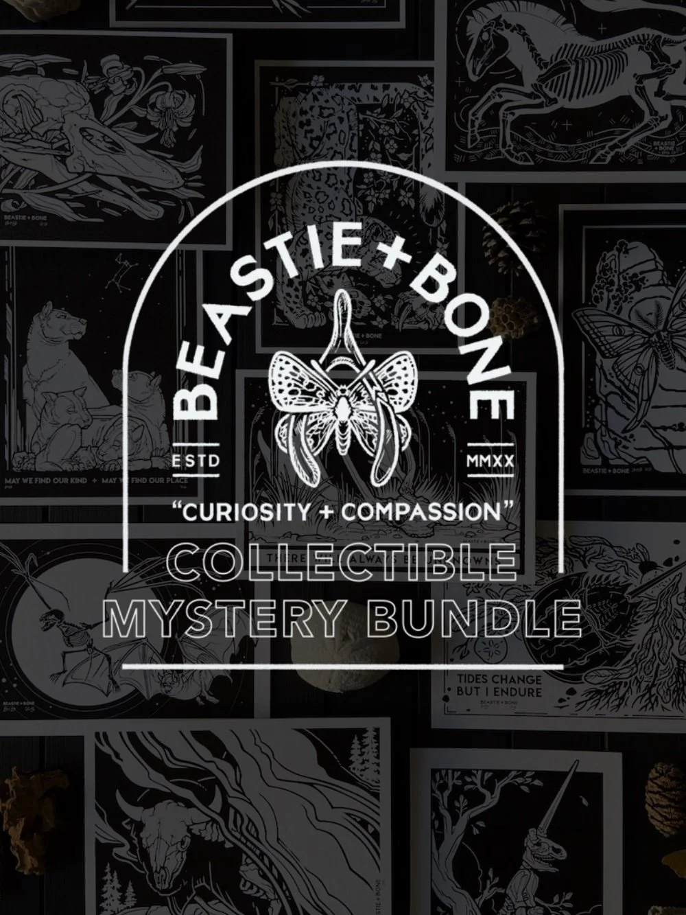Patreon Mystery Bundle Graphic.jpg
