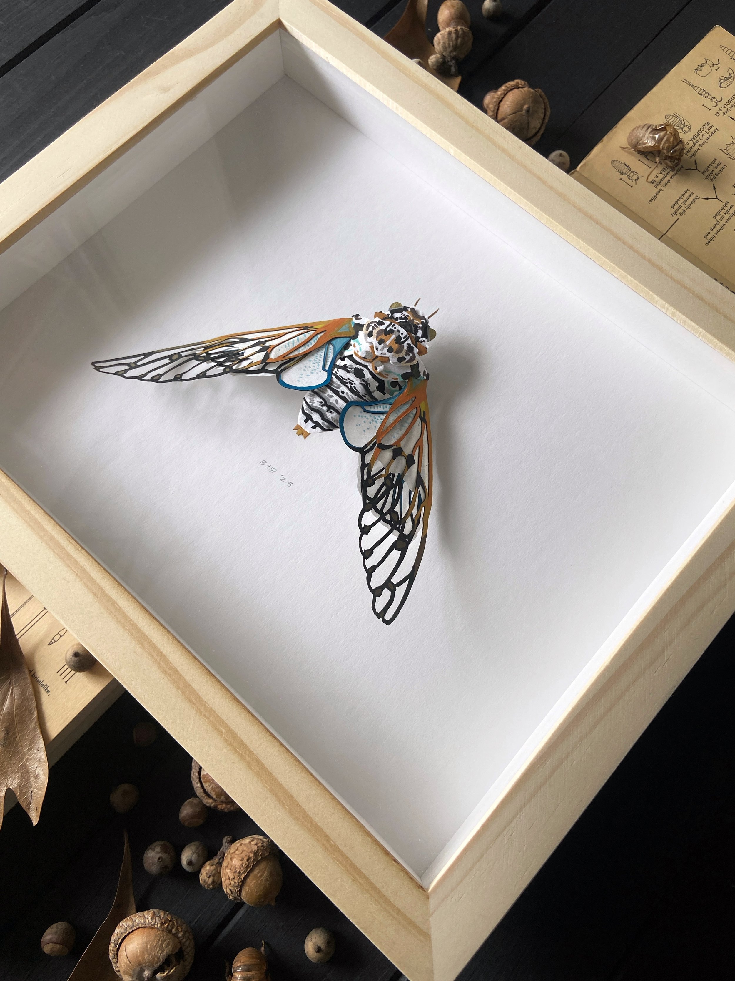 Ghost Cicada II Framed Flatlay Angled.jpg