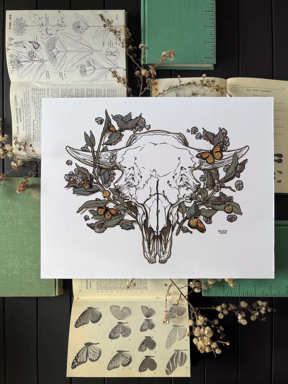Ancient Monarch Open Edition Flatlay.jpg
