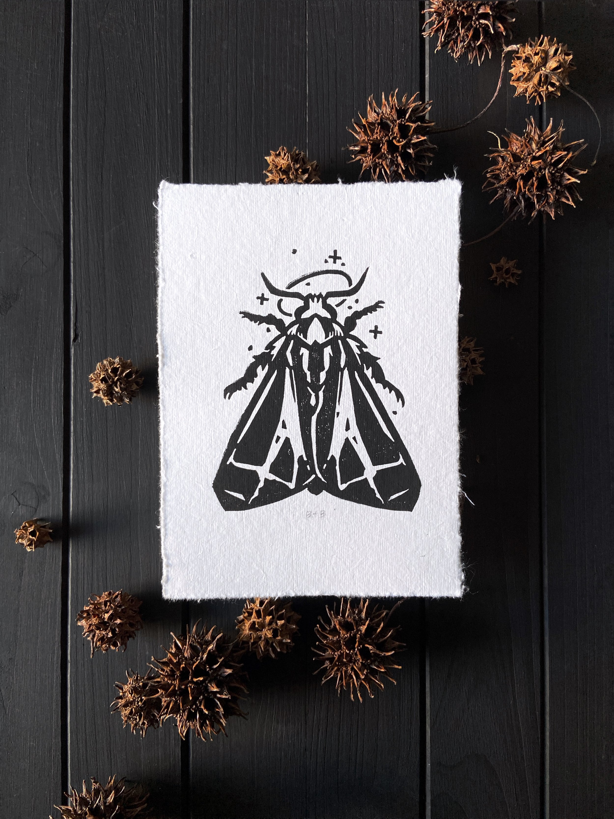 "Dizzy Moth" 2025