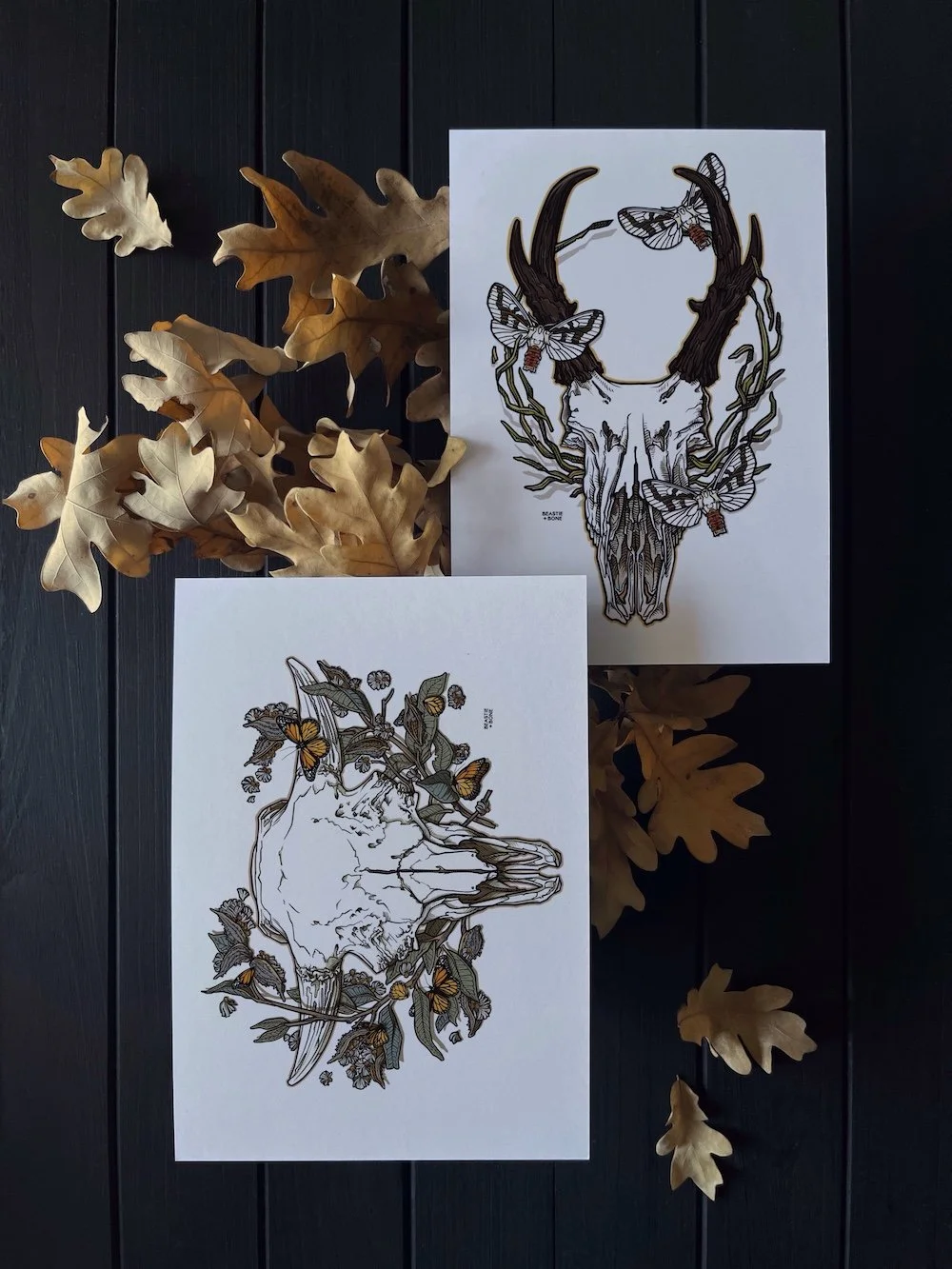 Prairie Skulls Recycled Paper Miniprint Set