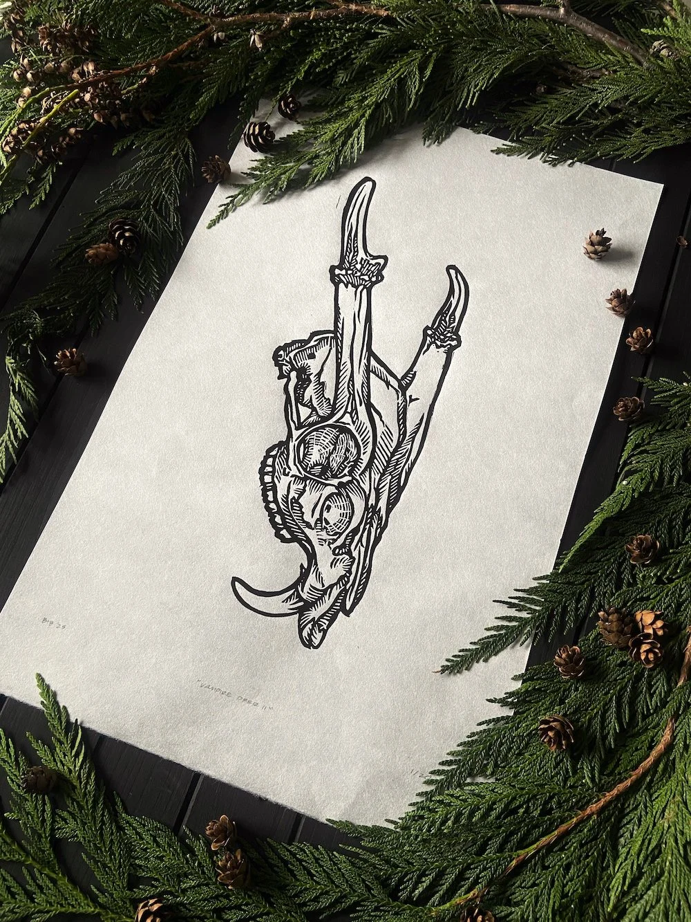 Vampire Deer II 2025 Flatlay Angled Web.jpg