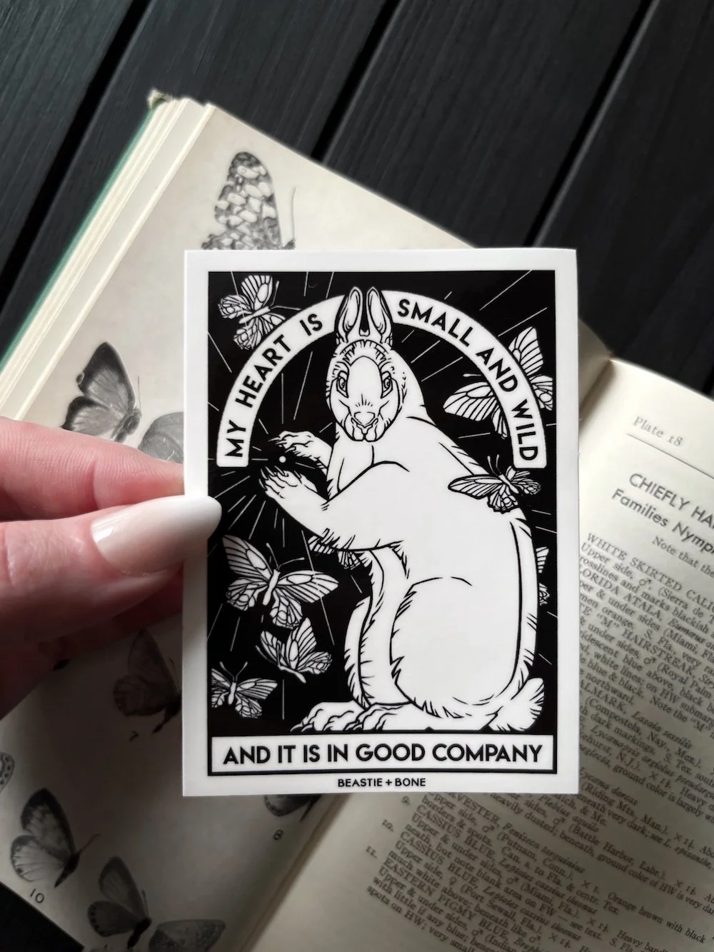 Small and Wild Sticker Flatlay Web.jpg