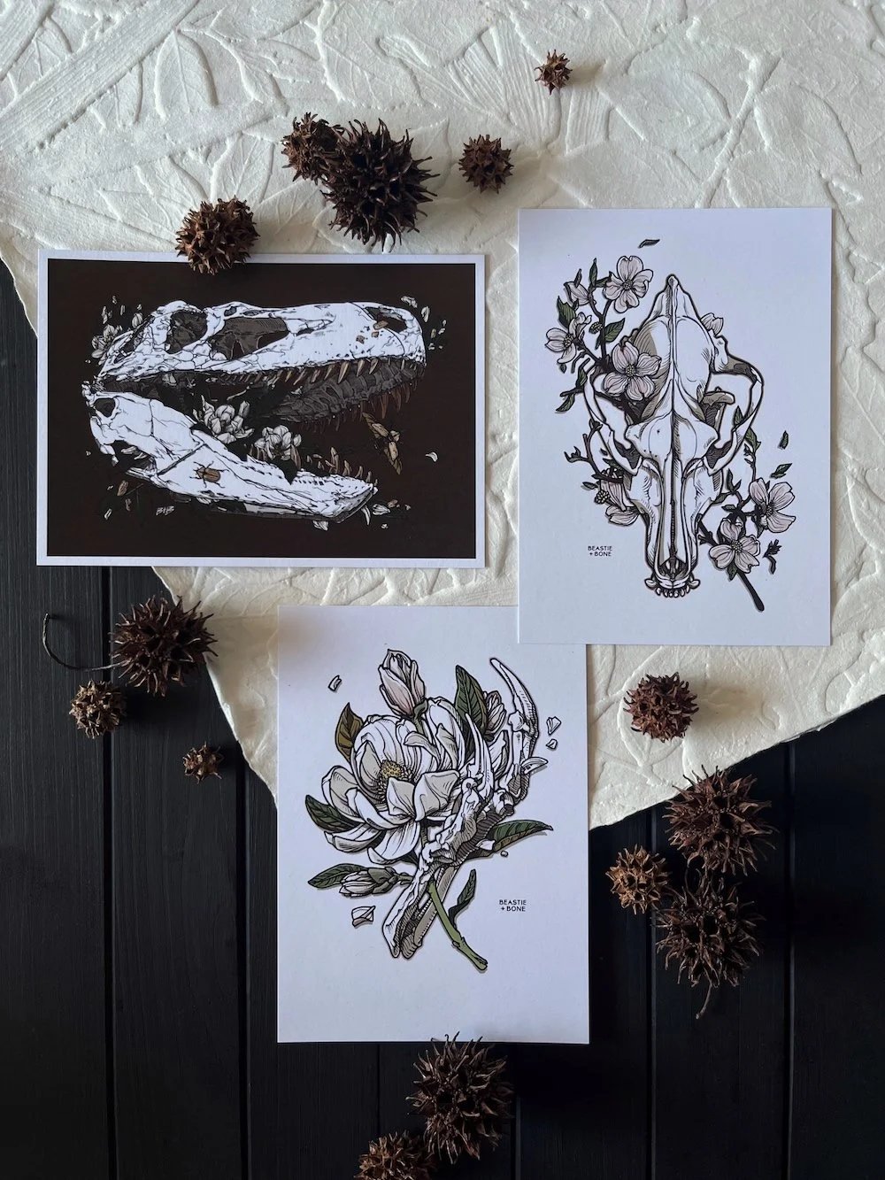 Southeastern Fossils Miniprint Set.jpg