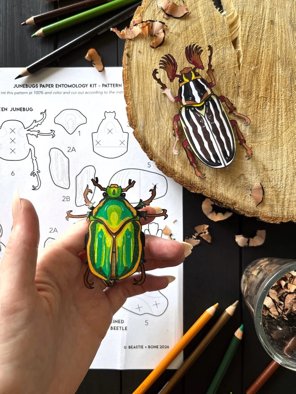 Junebugs Kit Flatlay 1.jpg
