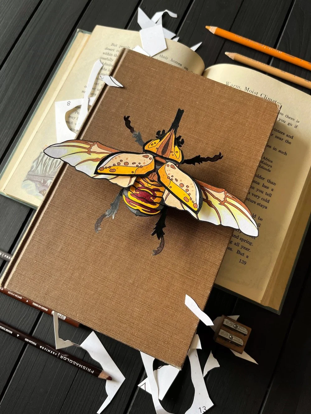 Eastern Hercules Beetle Downloadable Paper Art Kit Flatlay 2 Web.jpg